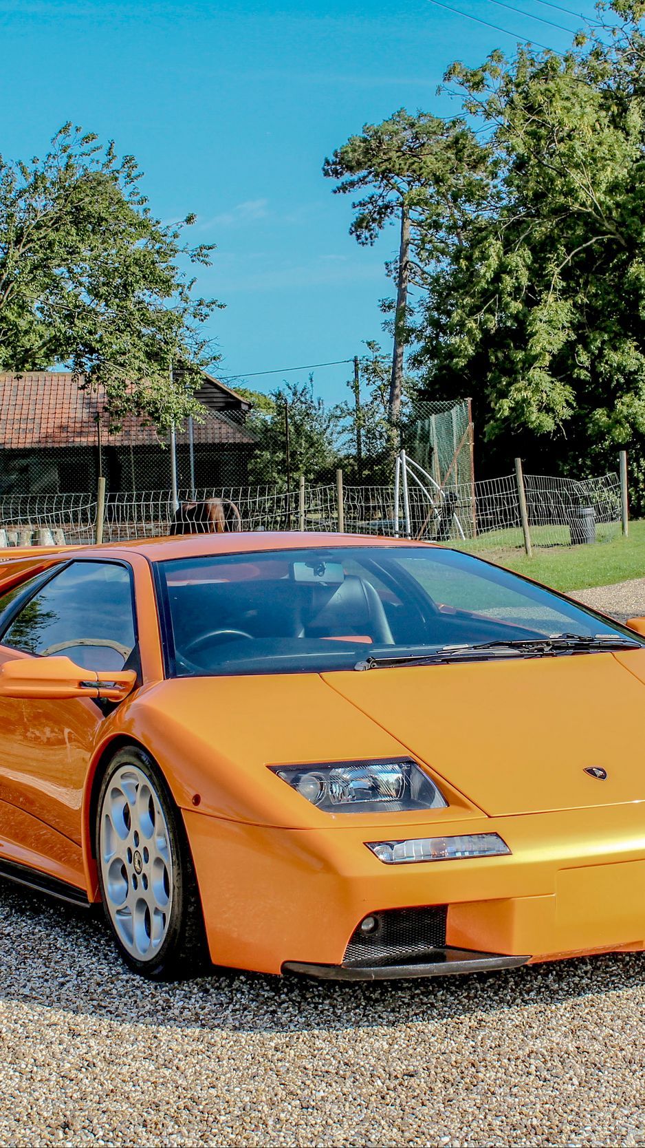 Download wallpaper 938x1668 lamborghini diablo, side view, sports