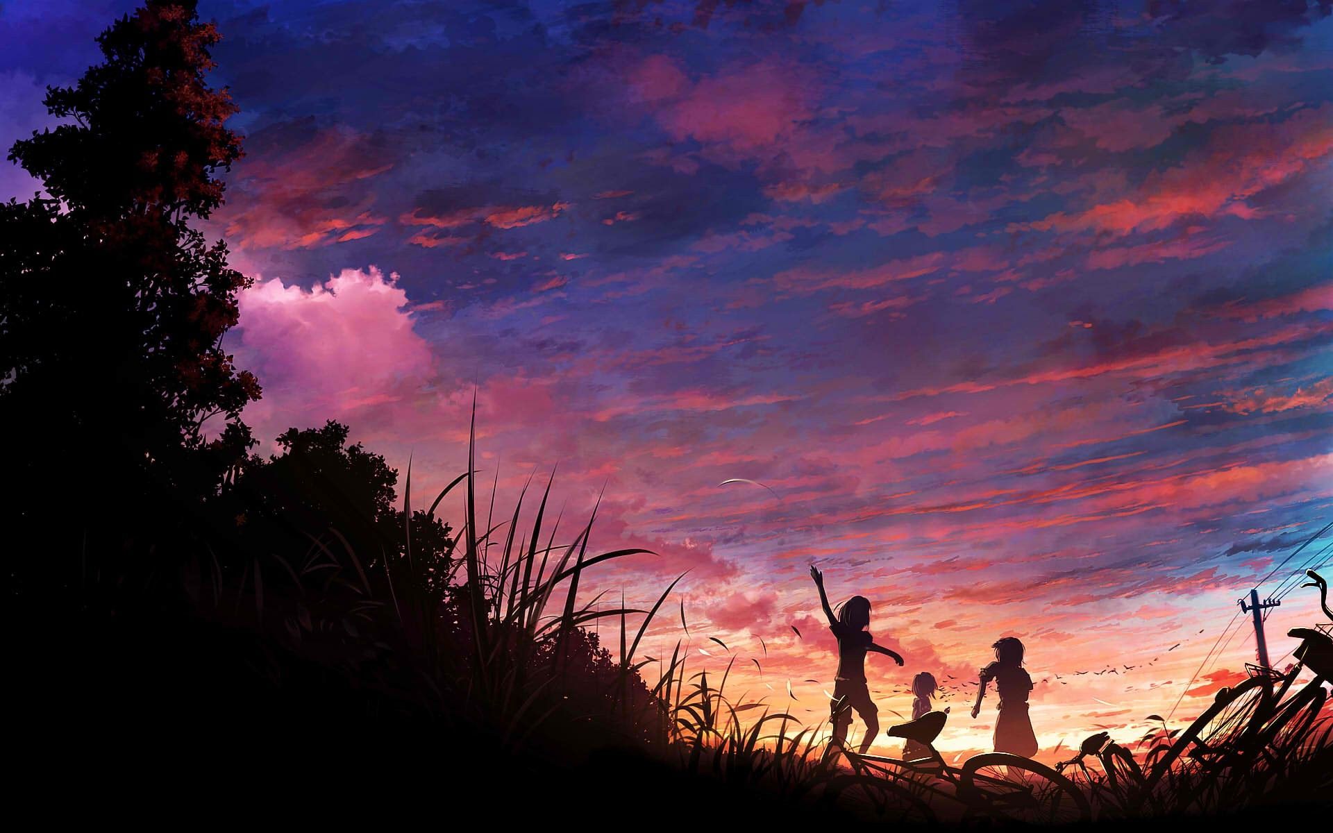 bicycle, #clouds, #silhouette, #sky, #grass, #anime, #anime girls