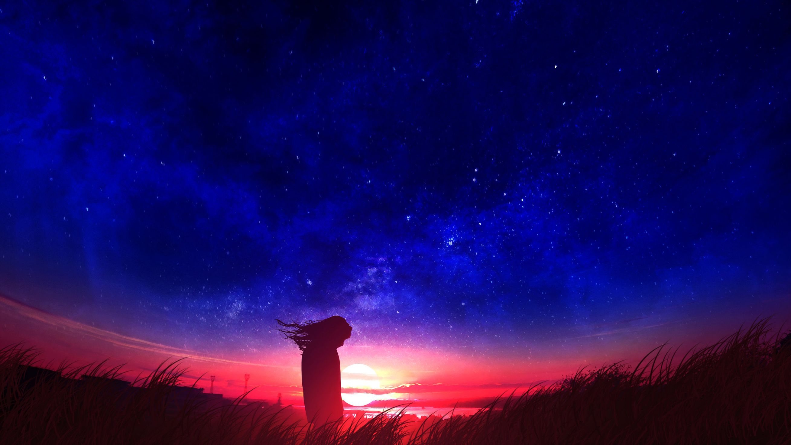 Anime Girl In Field Silhouette Sunset, HD Anime, 4k Wallpaper