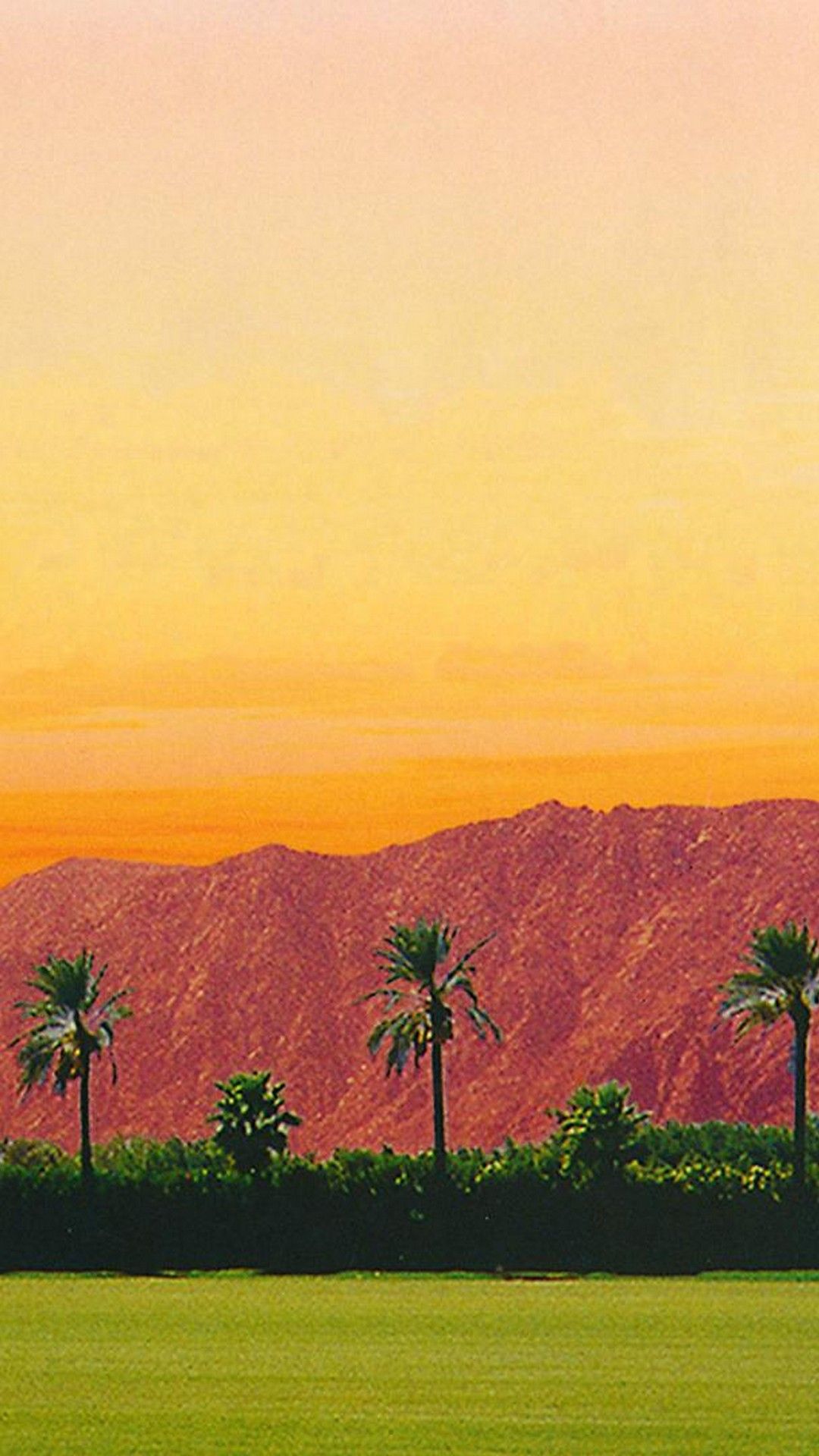 Free download Coachella 2019 Wallpaper For Android 2020 Android
