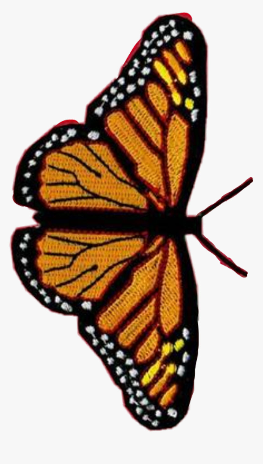 Orange Butterfly Wallpaper Vsco