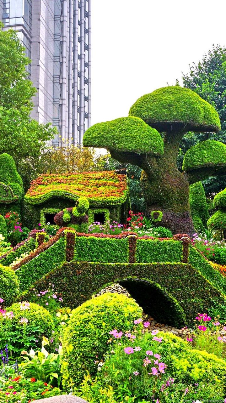 Hd Nature Wallpaper, Free Habitat Image, Download HD Image