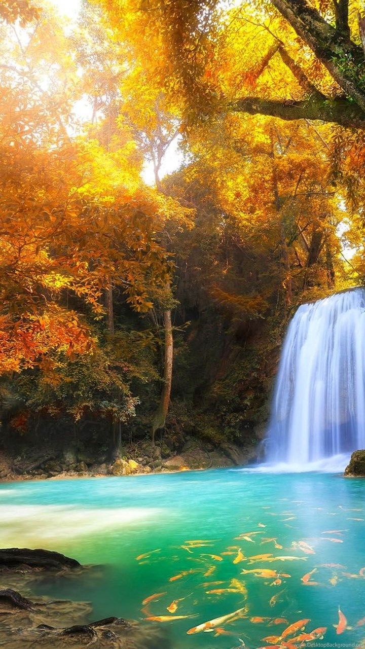 Hd Nature Wallpaper, Download HD Image, Nature Of Wallpaper