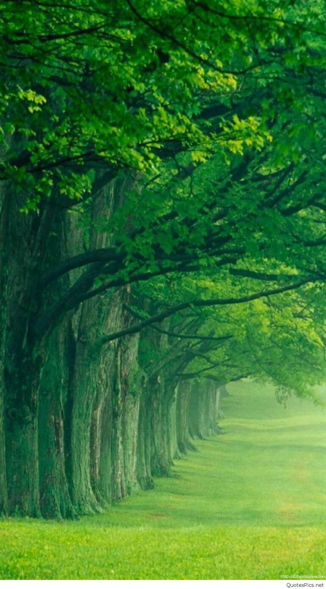 Nature Wallpaper For Android