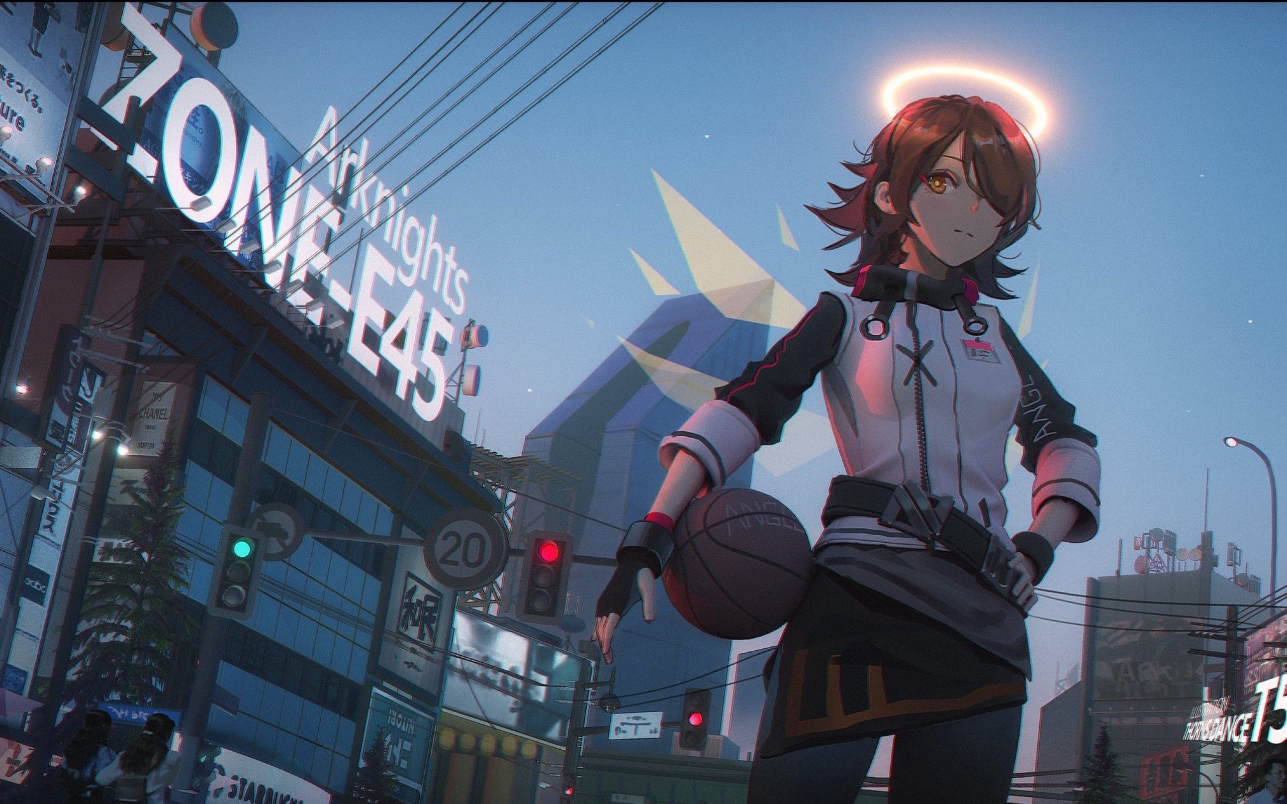 Download 2560x1600 Exusiai, Arknights, Wings, Basketball, Brown