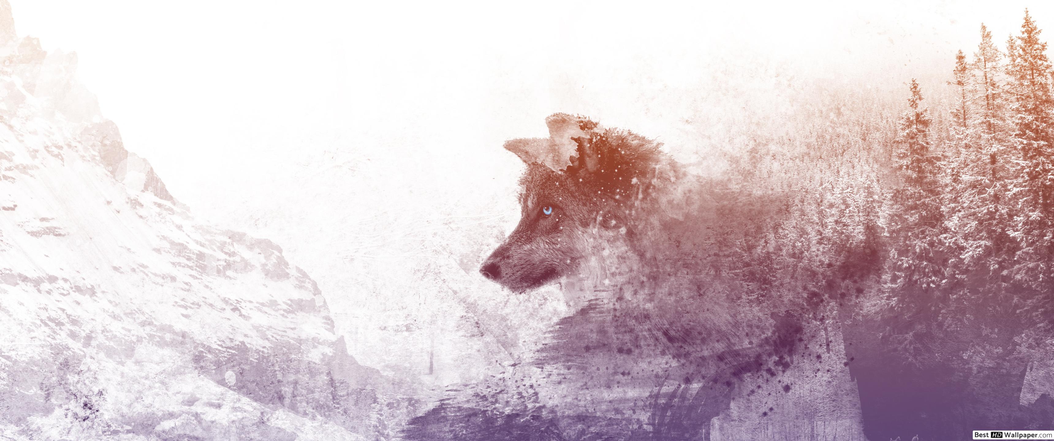 Artistic wilderness Wolf HD wallpaper download