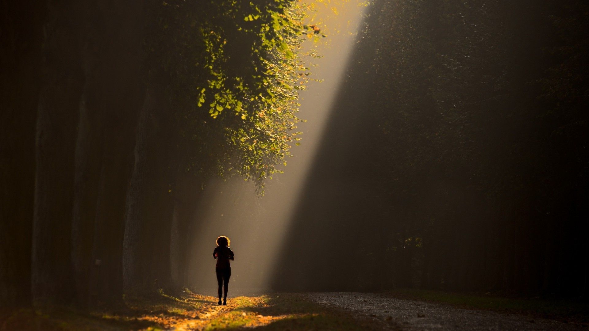 nature, Trees, Forest, Leaves, Sunlight, Path, Shadow, Women, Women Outdoors, Running, Sports, Silhouette, Rear View Wallpaper HD / Desktop and Mobile Background