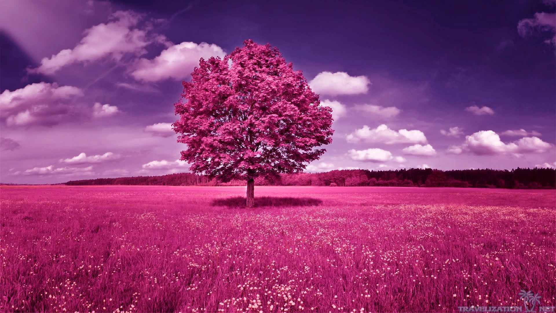 Free download Women Track And Field Pink Tree 399559 With
