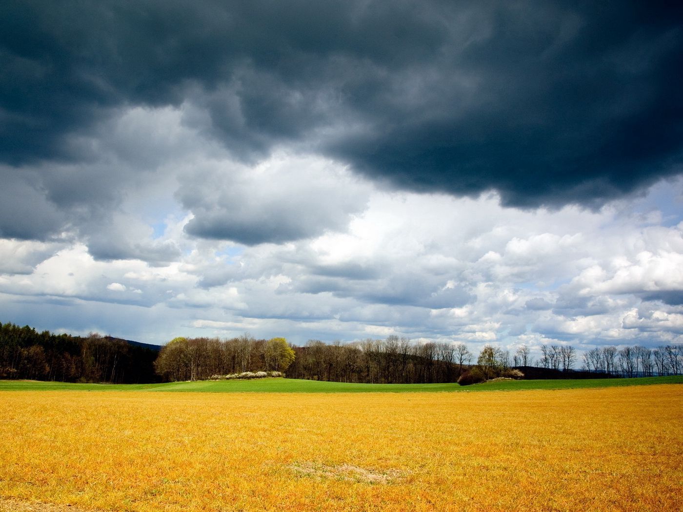 Download wallpaper 1400x1050 clouds, field, sky, gray, gloomy