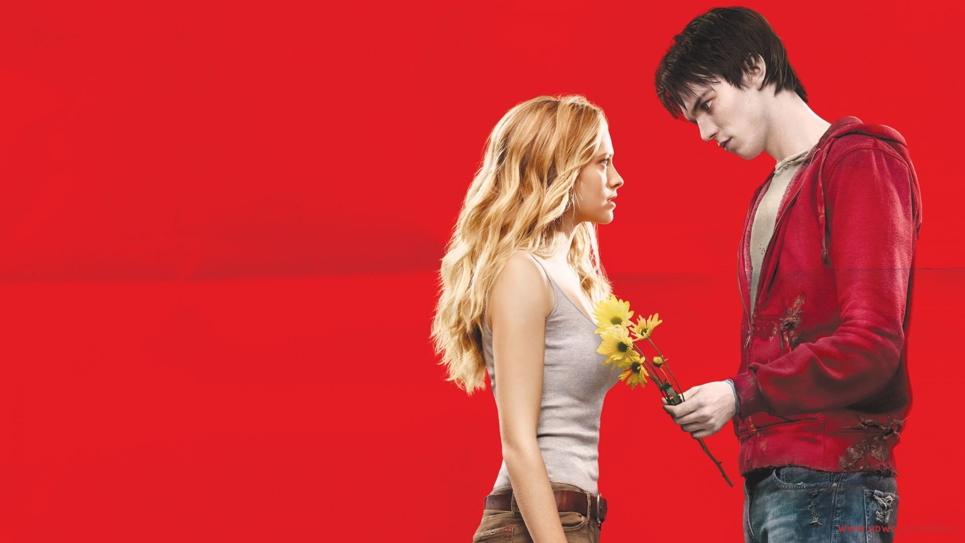 Warm Bodies Wallpaper
