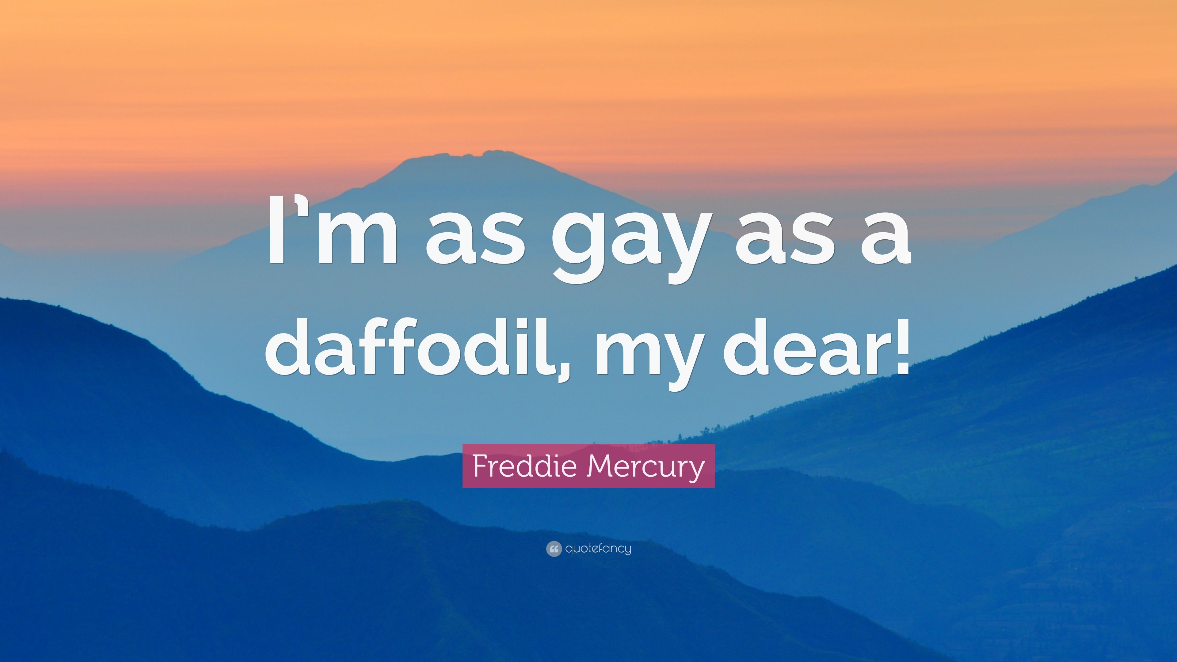 Freddie Mercury Quote: “I'm as gay as a daffodil, my dear!” 9