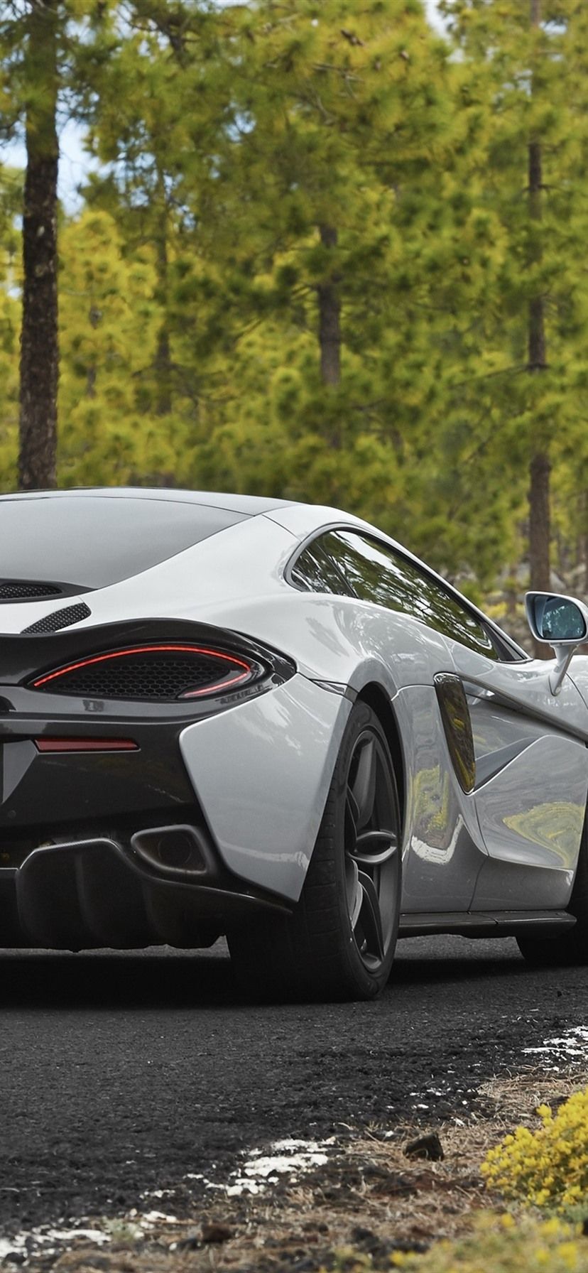 McLaren 570GT white supercar back view, road, trees 1080x1920