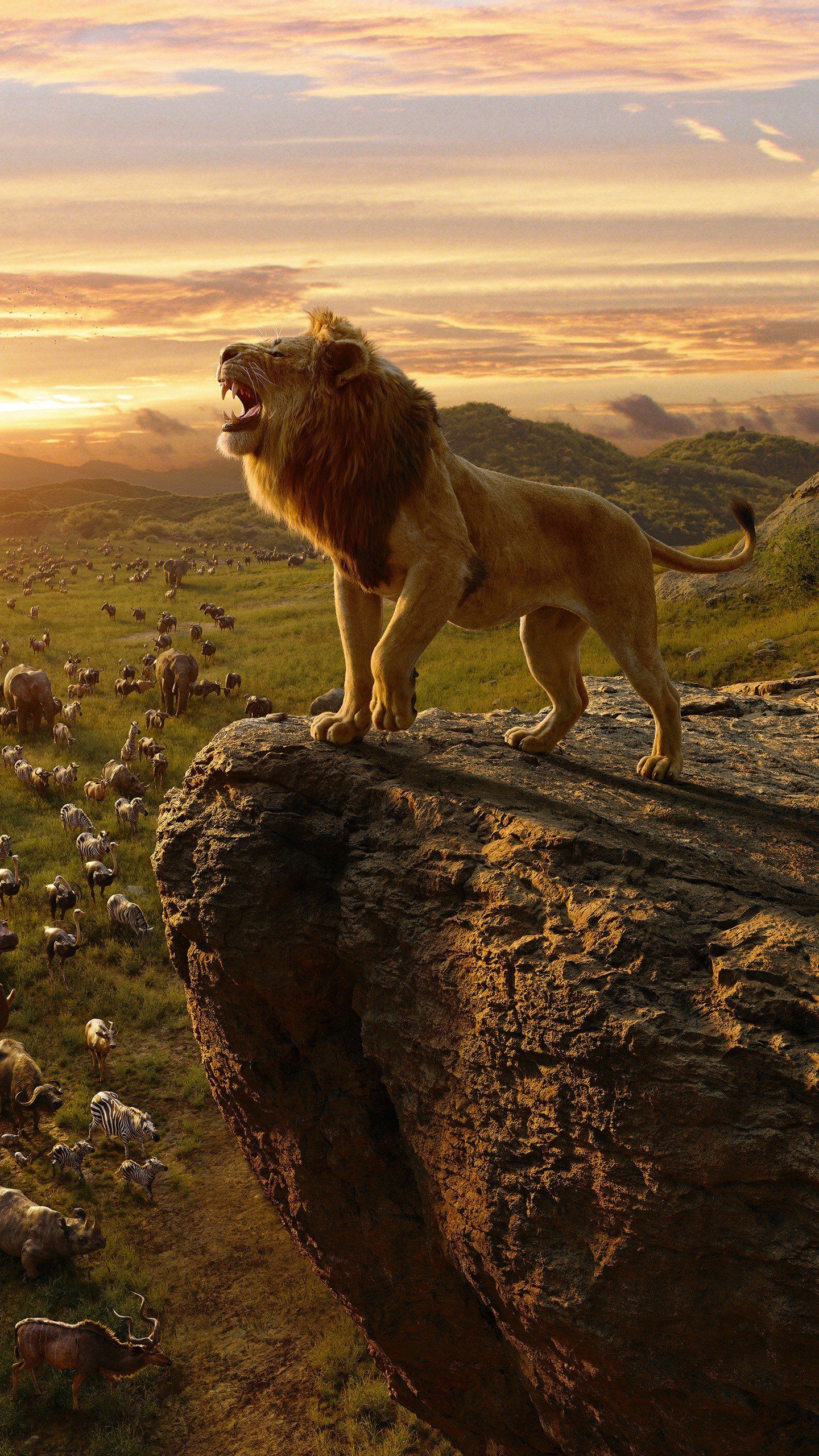 Ultra HD Lion King 4k Wallpaper