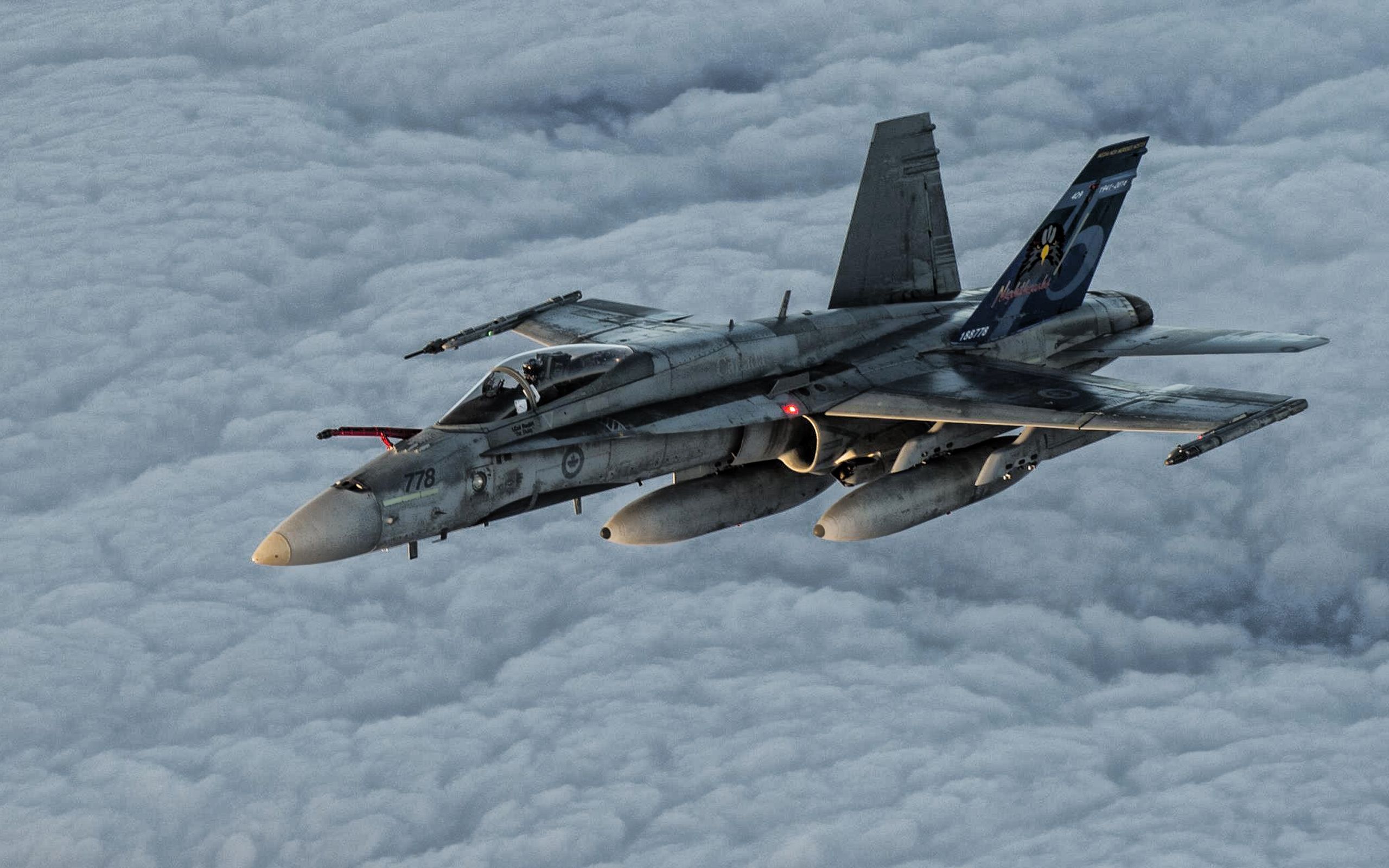 Download Wallpaper McDonnell Douglas FA 18 Hornet, Canadian Air