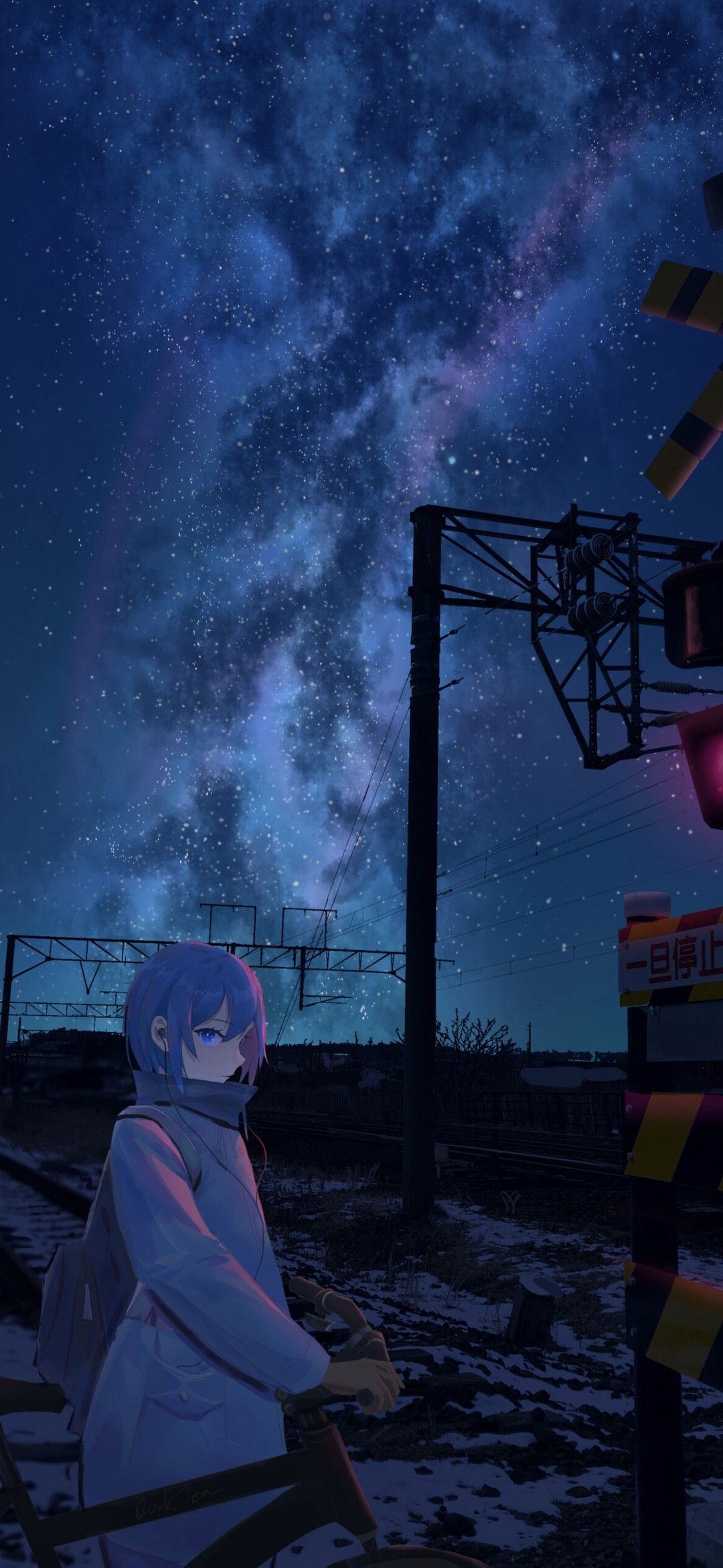 Download 1080x2340 Anime Girl, Stars, Night, Scenic, Railway