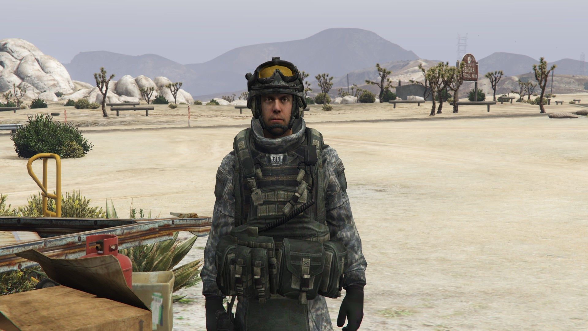 Call Of Duty: Modern Warfare US Army Rangers [Add On]