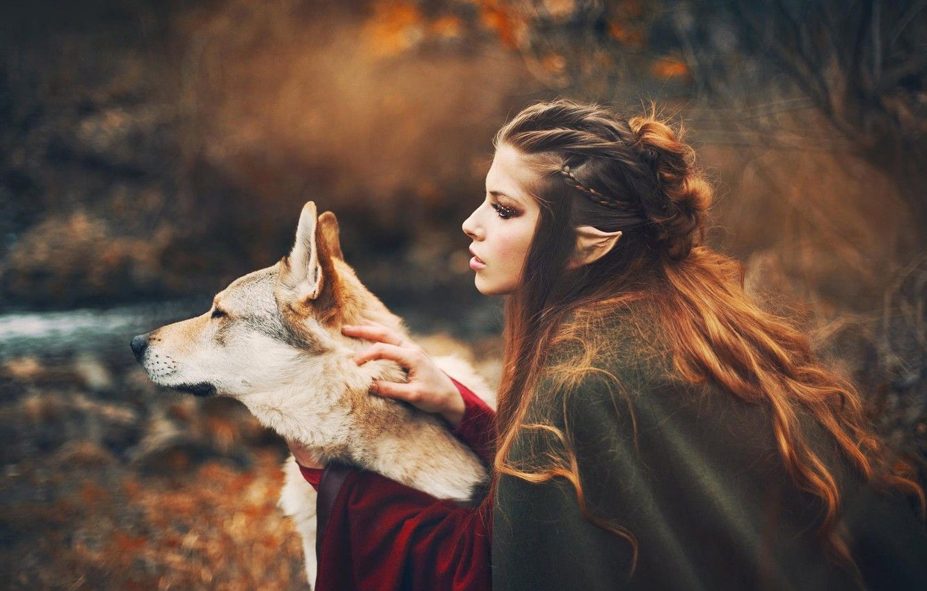 Wallpaper autumn, girl, style, wolf, dog, fantasy, elf image