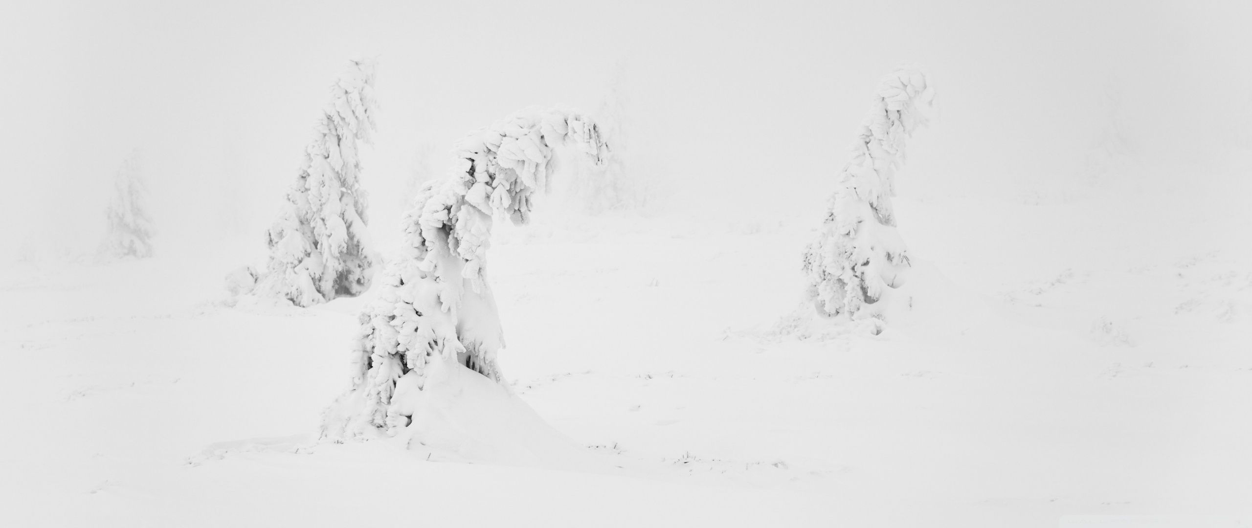 Winter White Snow Aesthetic Ultra HD Desktop Background Wallpaper