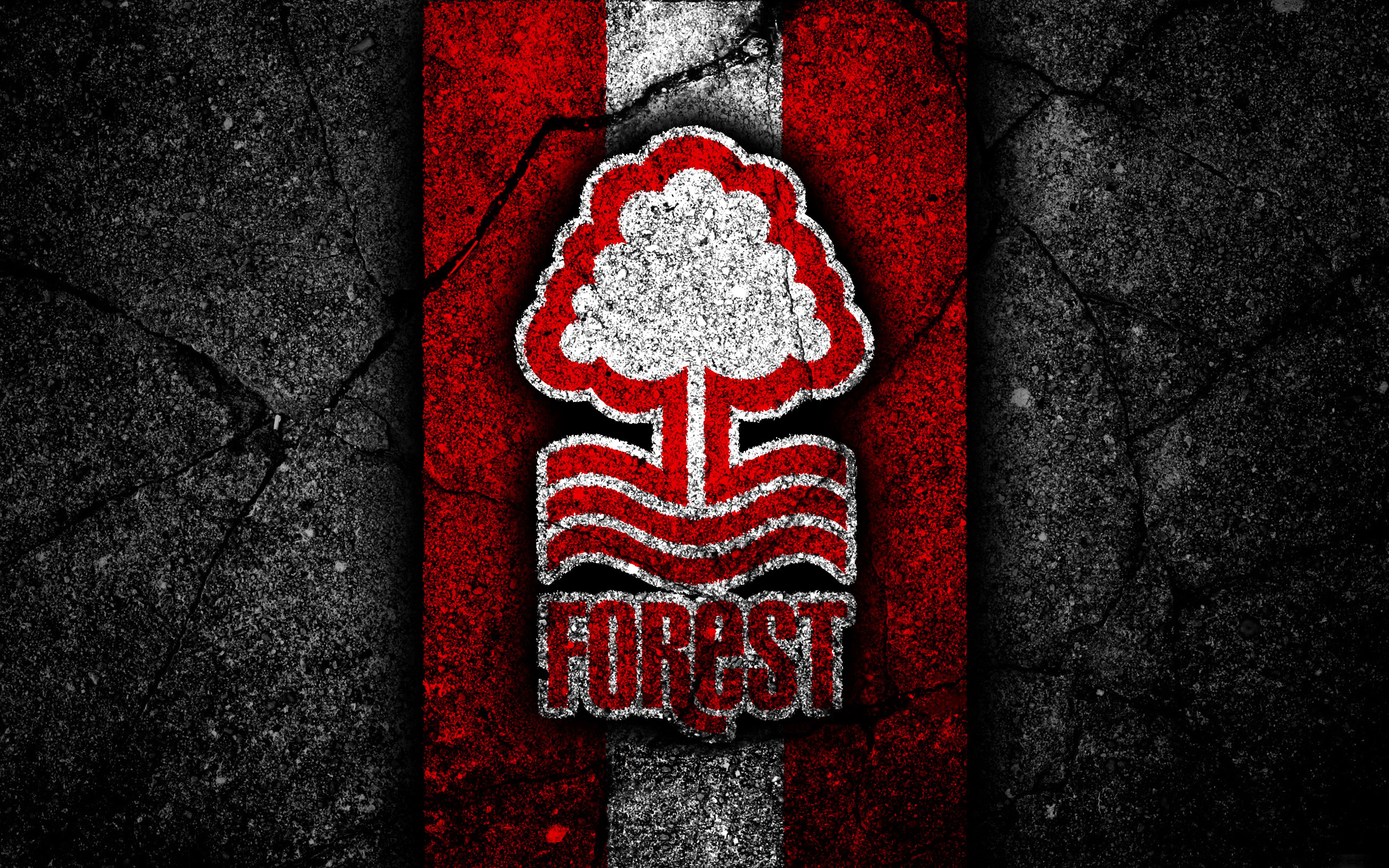 n forest fc