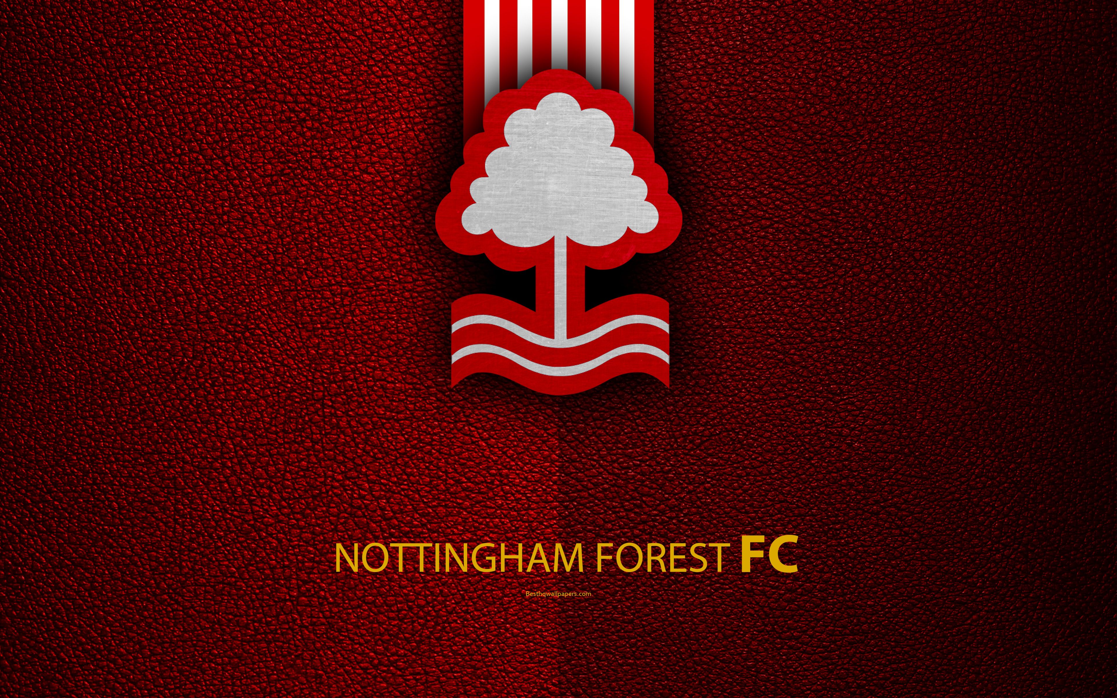 Download wallpaper Nottingham Forest FC, 4K, English Football Club, logo, Football League Championship, leather texture, Nottingham, UK, EFL, football, Second English Division for desktop with resolution 3840x2400. High Quality HD picture wallpaper