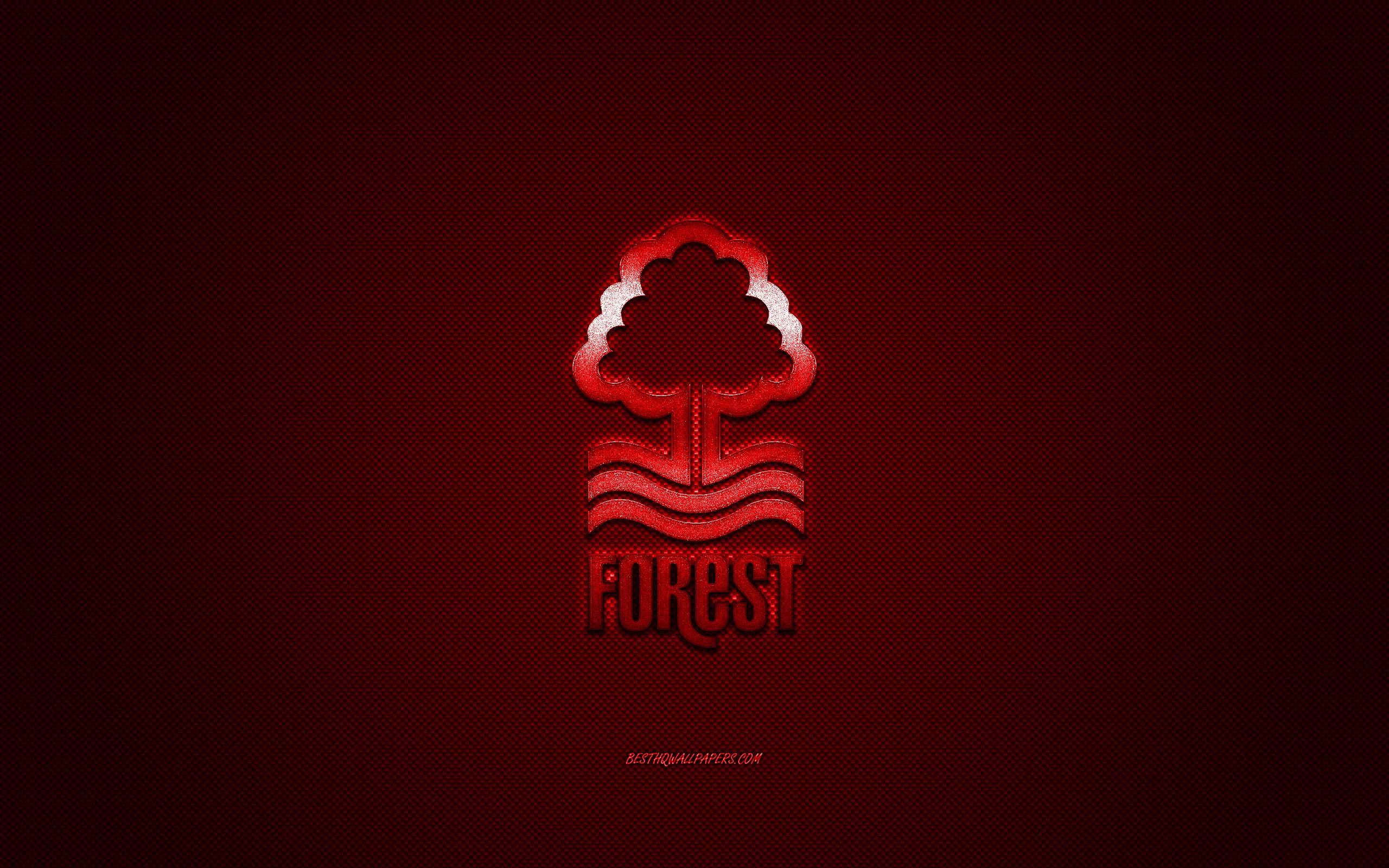 Download wallpaper Nottingham Forest FC, English football club, EFL Championship, red logo, red carbon fiber background, football, Nottingham, Nottingham Forest FC logo for desktop with resolution 2560x1600. High Quality HD picture wallpaper