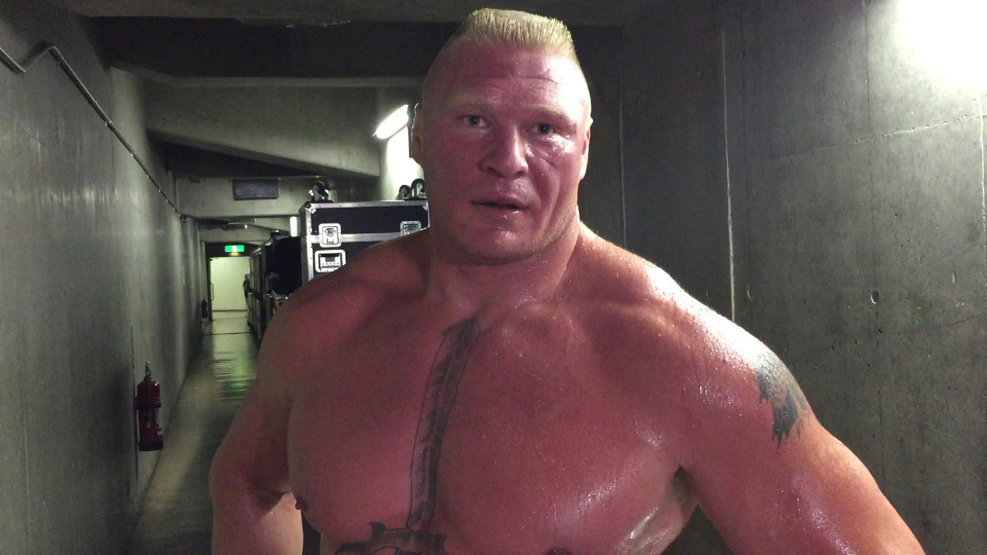 Brock Lesnar Wallpaper Image Photo Picture Background