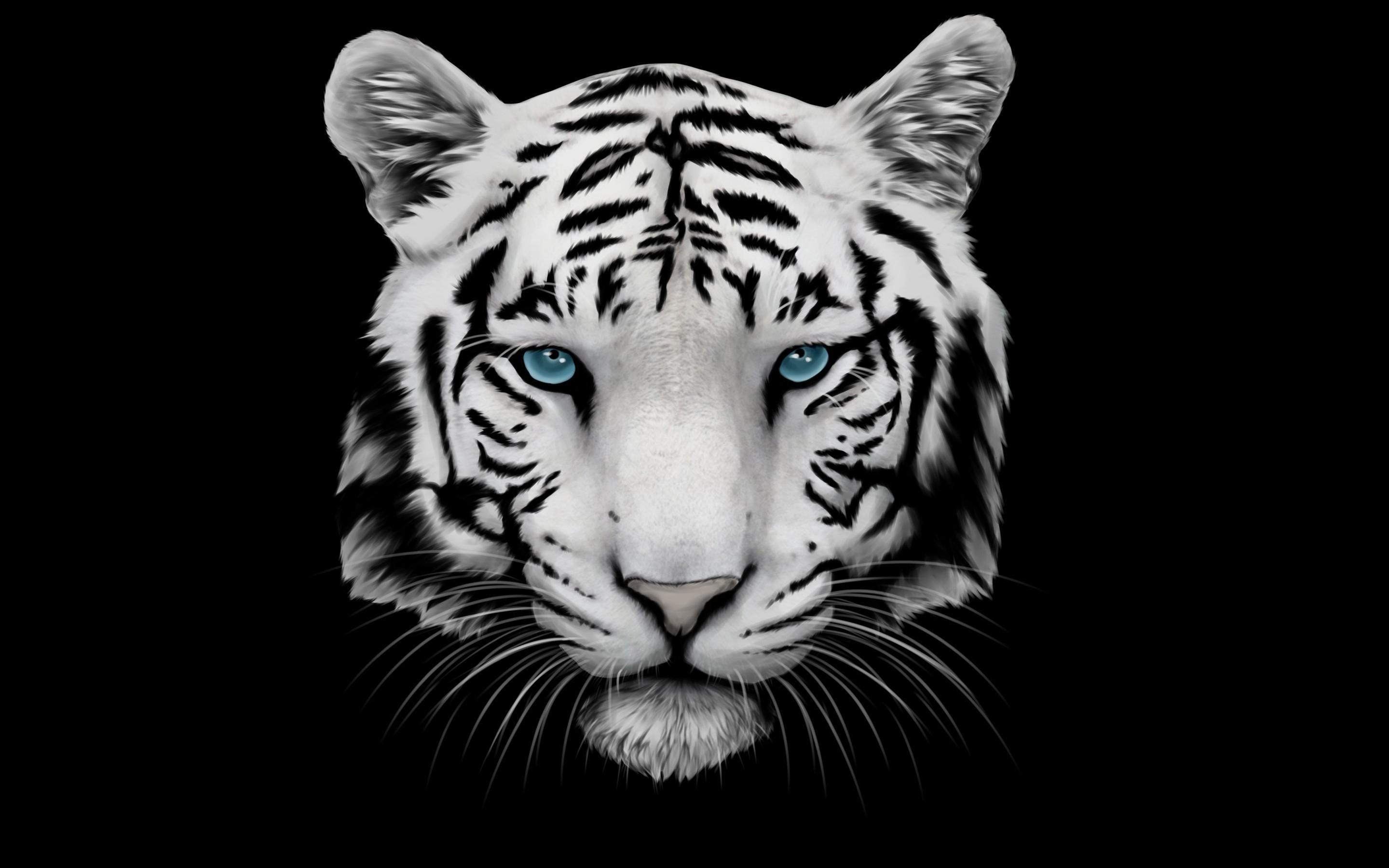 White Tiger Wallpaper for Android