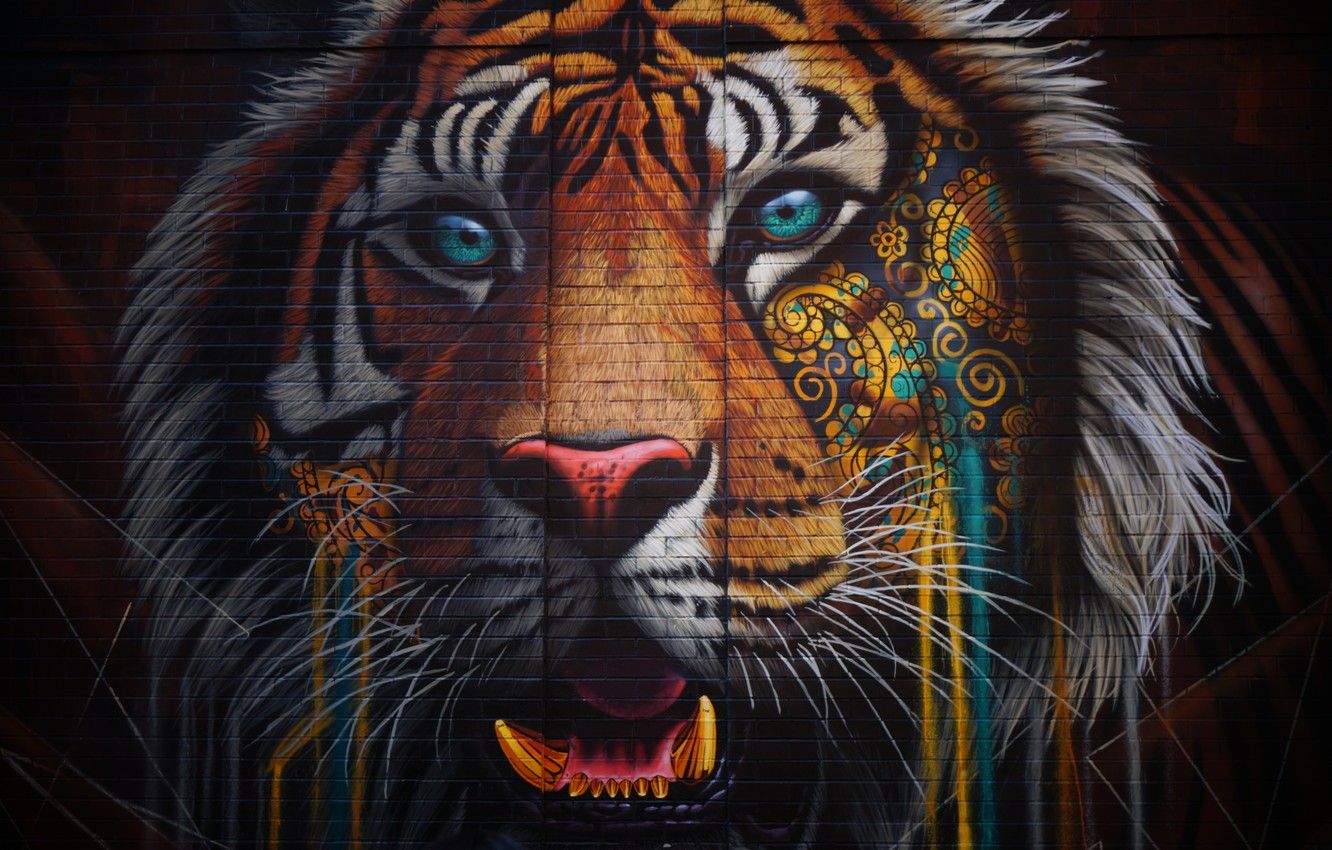 Wallpaper Tiger, Graffiti, Wallpaper image for desktop, section