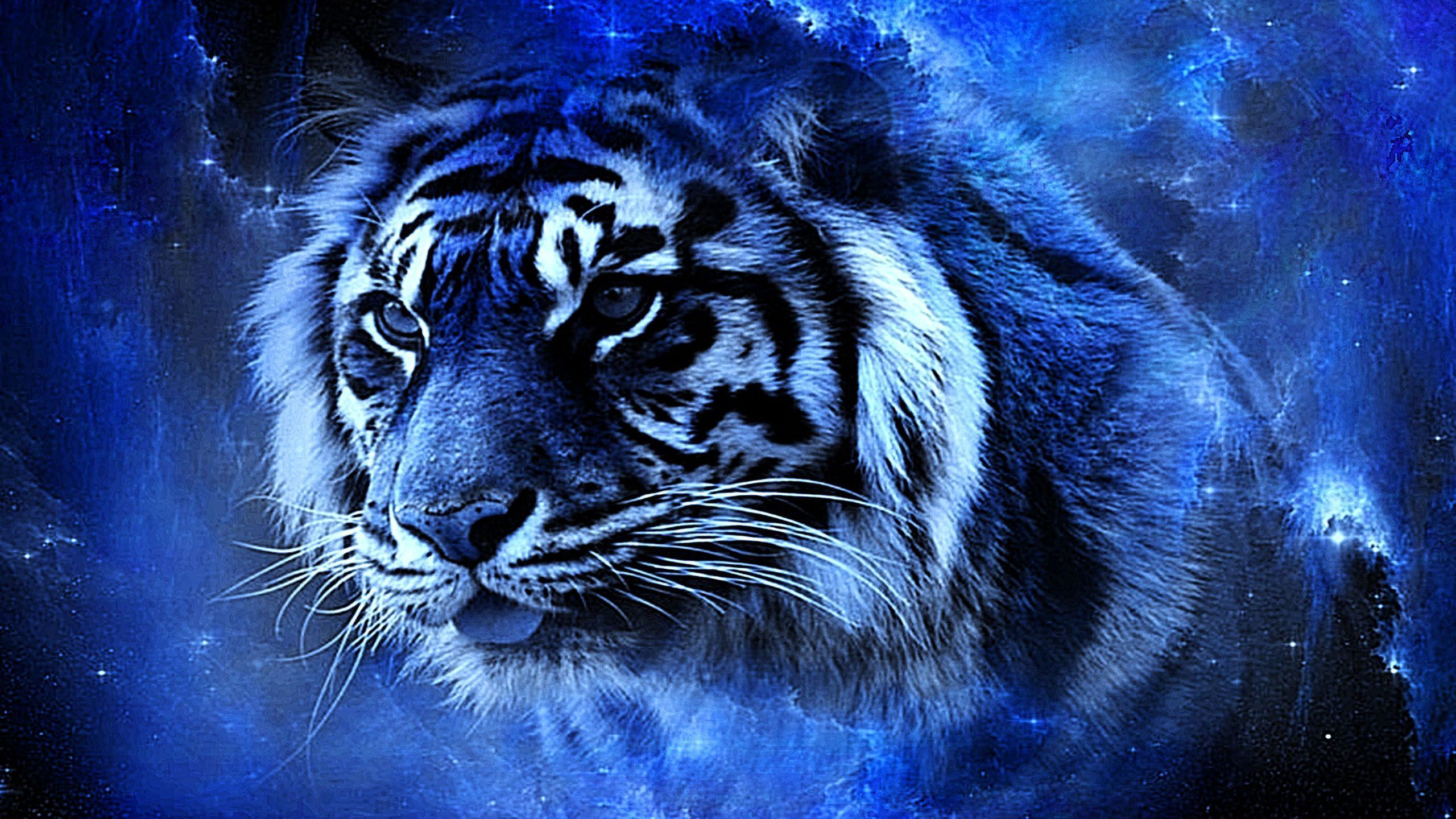 White Tiger Wallpaper Gallery Pic Wpw401577 Data Zoo