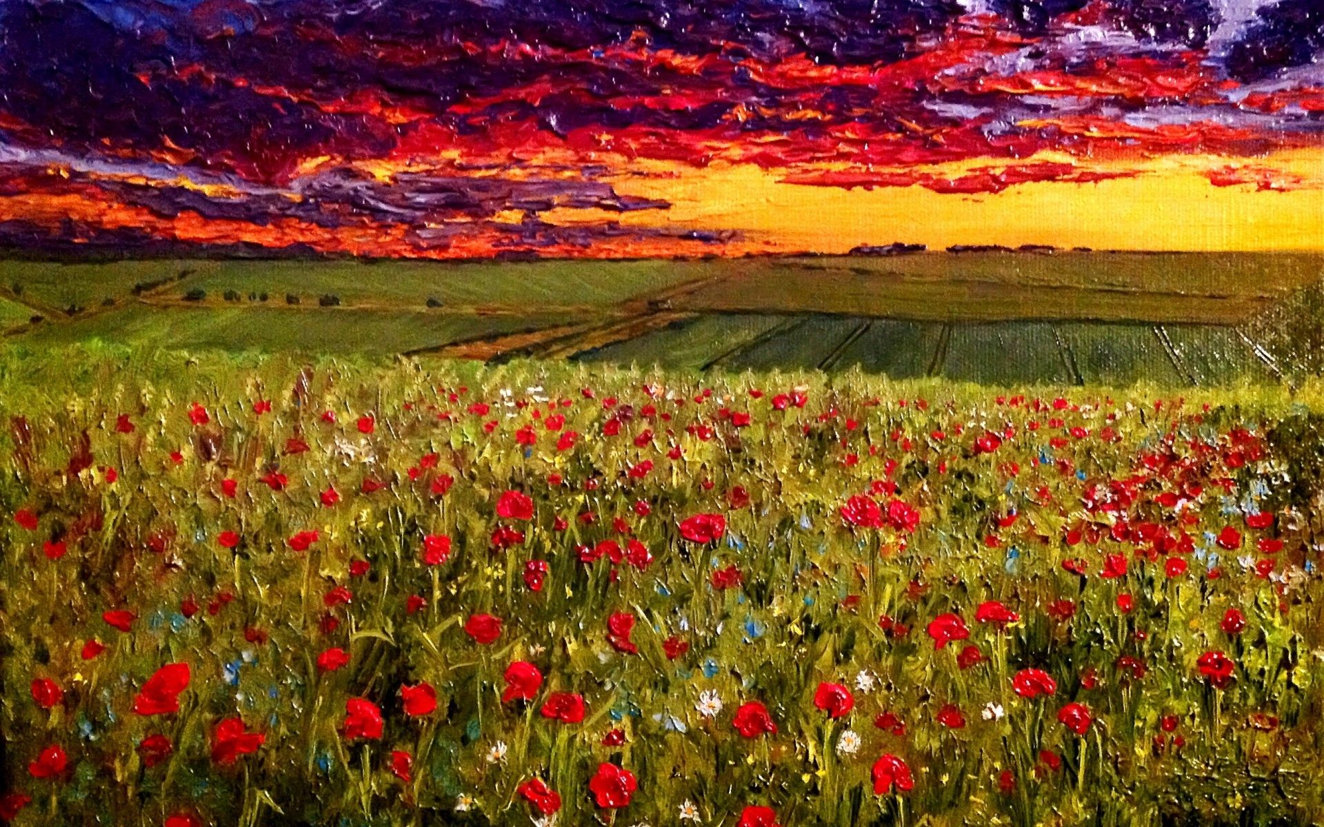 Poppy Meadow & Fiery Sunset wallpaper. Poppy Meadow & Fiery