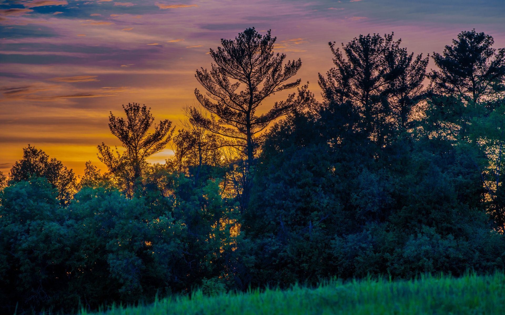 Wallpaper Canada, Ontario Province, meadow, trees, sunset