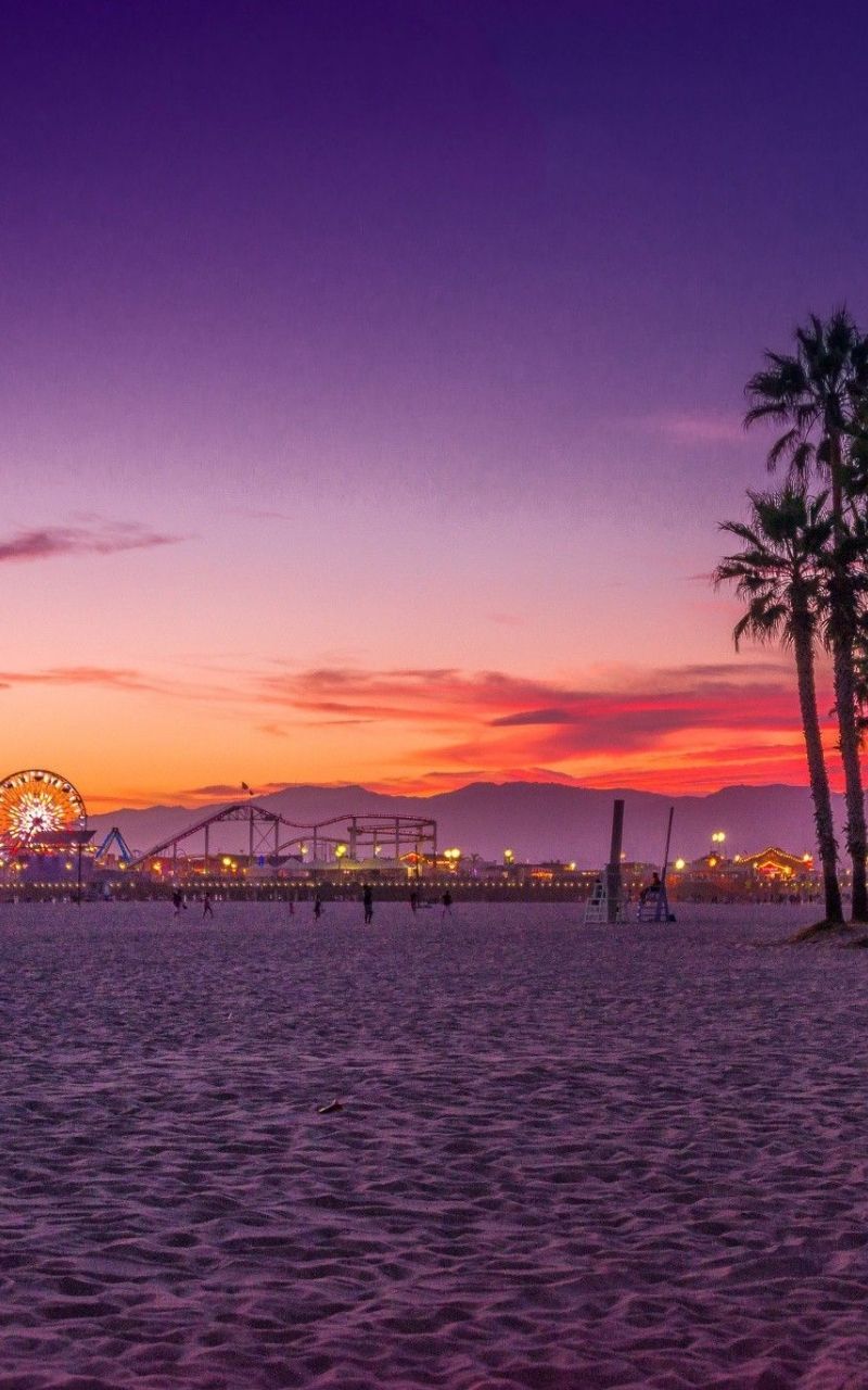 Free download 30 Venice Beach Sunset iPhone Wallpaper Download at