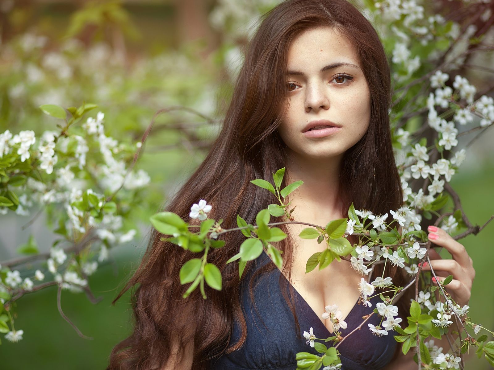 Girl In Nature Branch 4k 1600x1200 Resolution HD 4k