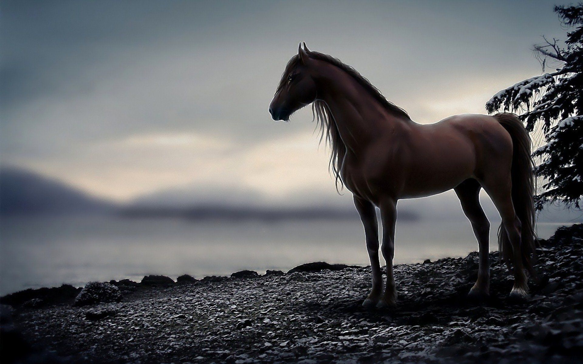 Horse PC Wallpaper