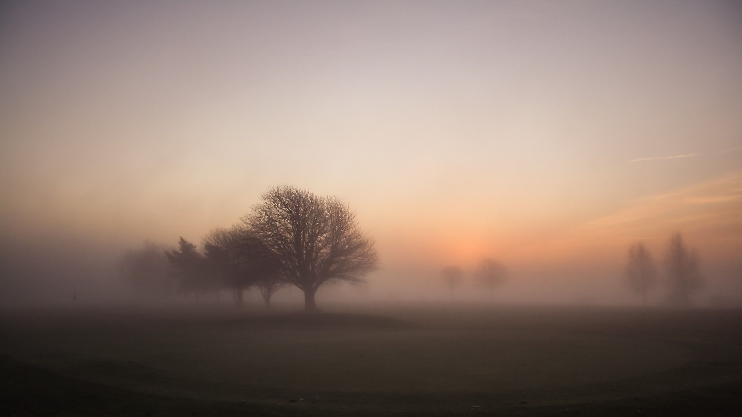 Free download 2560x1440 Foggy Morning Sunrise desktop PC and Mac