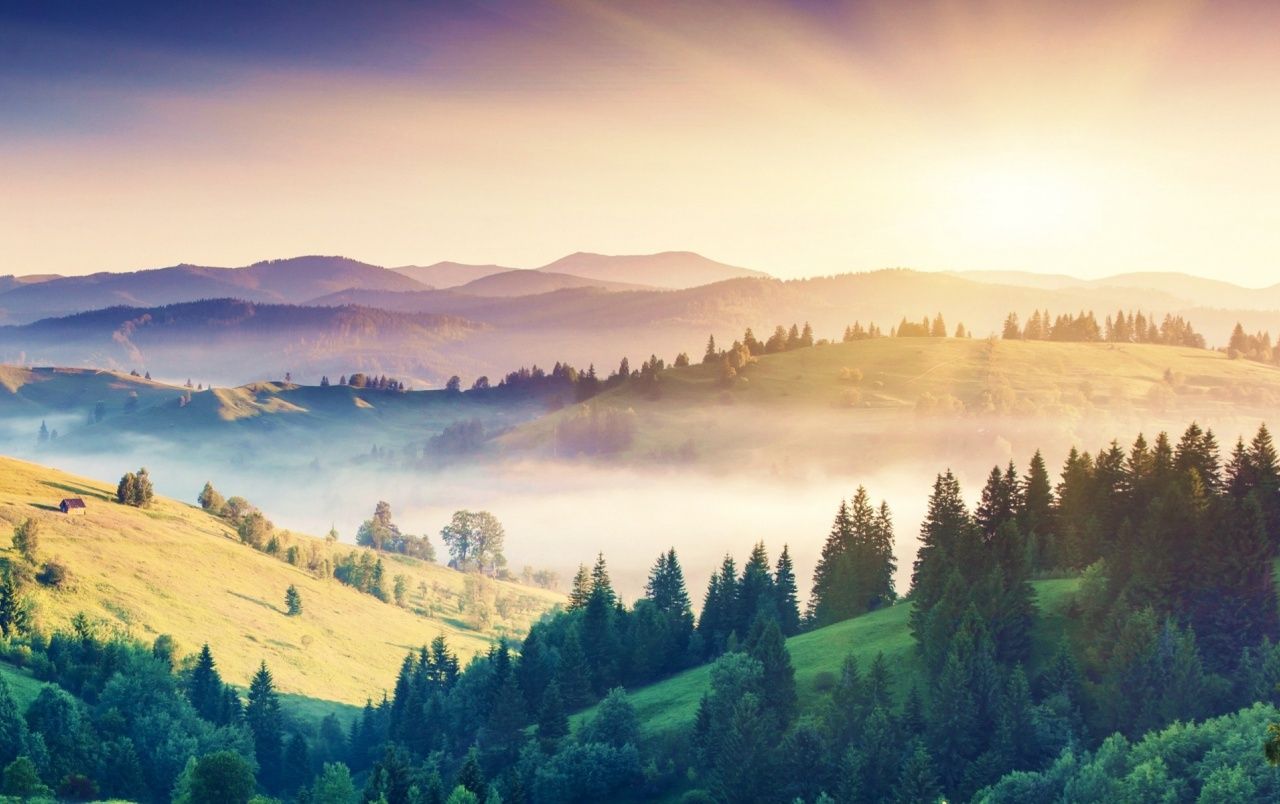 Nice Foggy Hills Trees Sunrise wallpaper. Nice Foggy Hills Trees