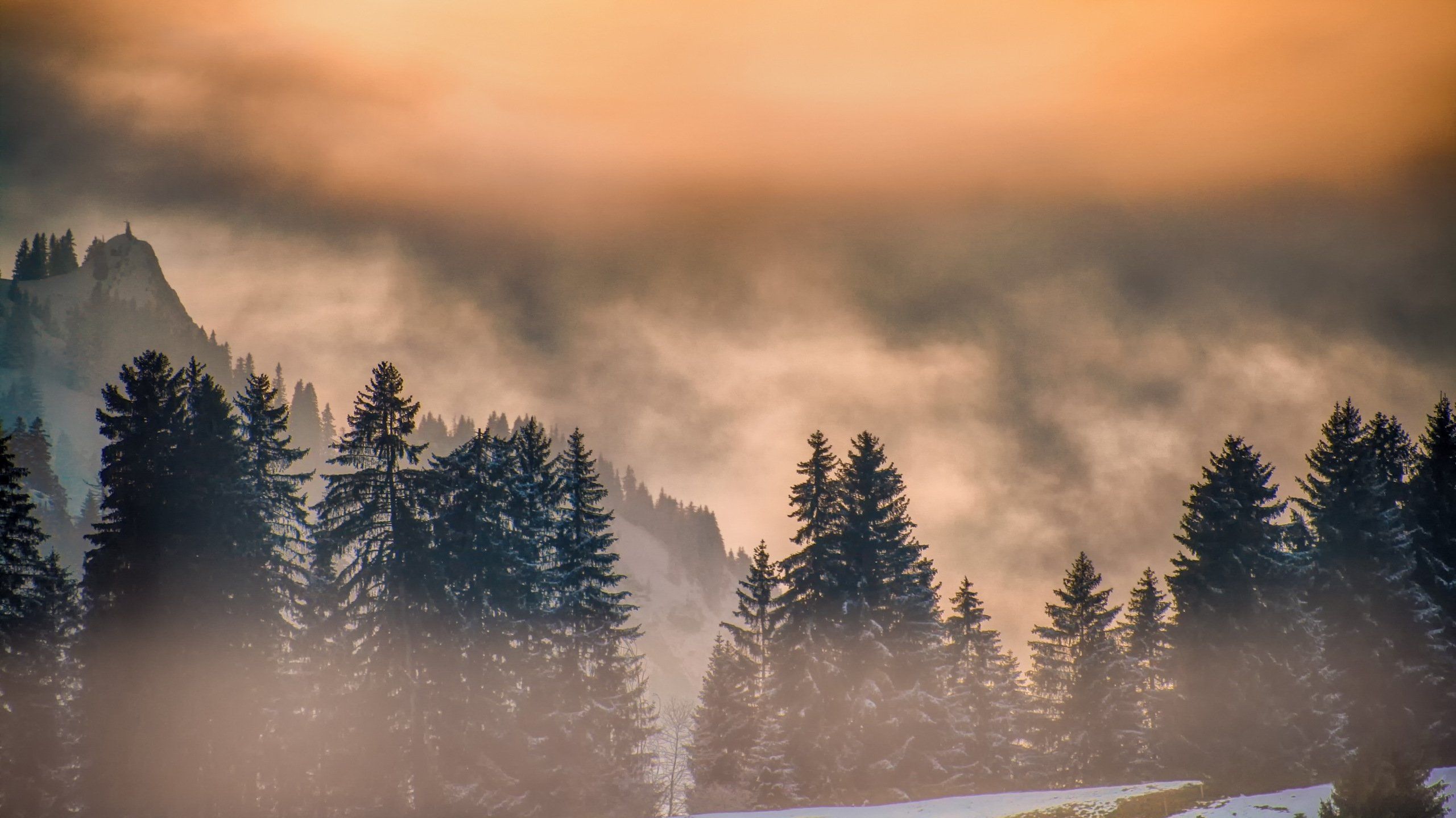 Dawn Foggy Sunrise HD wallpaper