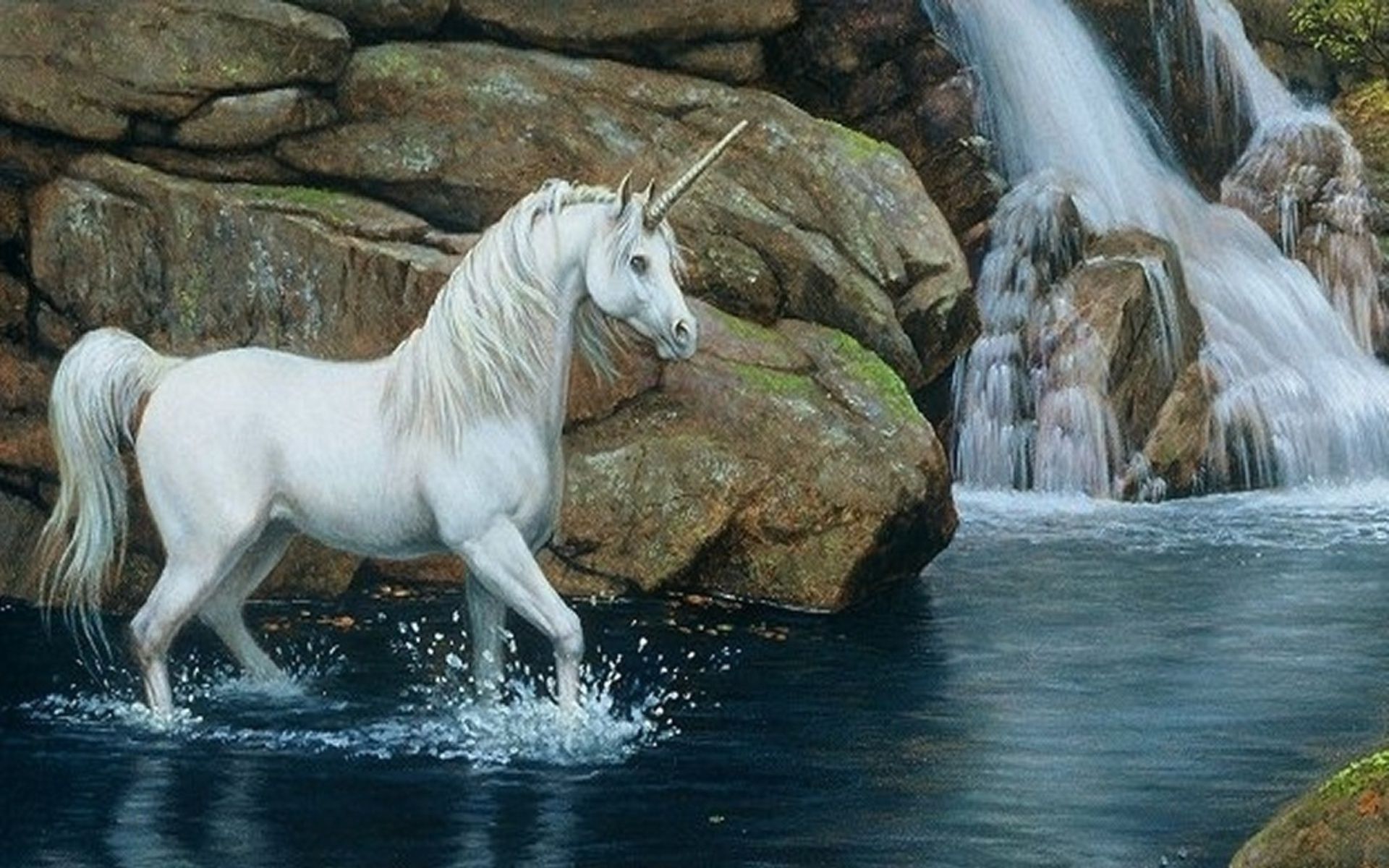 Live Horse Wallpaper for PC