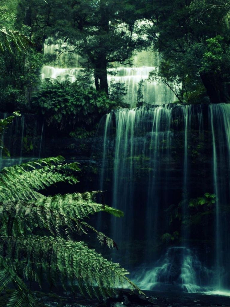 Free download 45 Forest Waterfall Desktop Wallpaper Download at