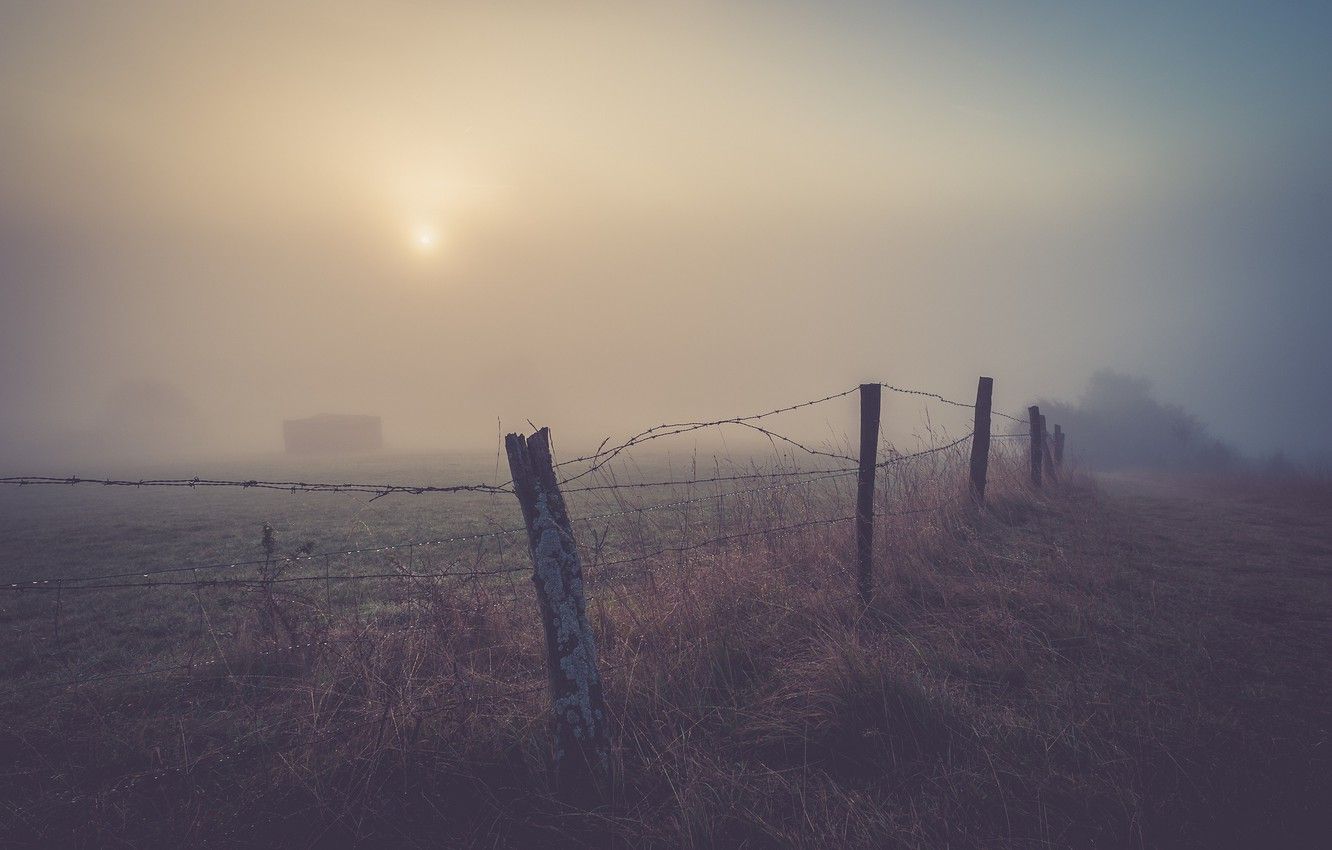 Wallpaper misty, field, morning, fog, fence, sunrise, dawn, drops