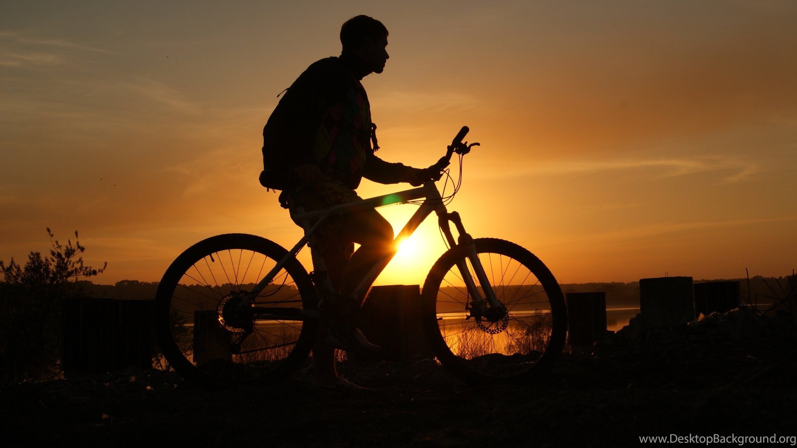 Cycling, Bicycle, Shadow Of A Man Wallpaper And Image