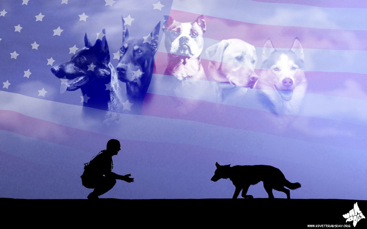 Military Dog Wallpaper for Computer