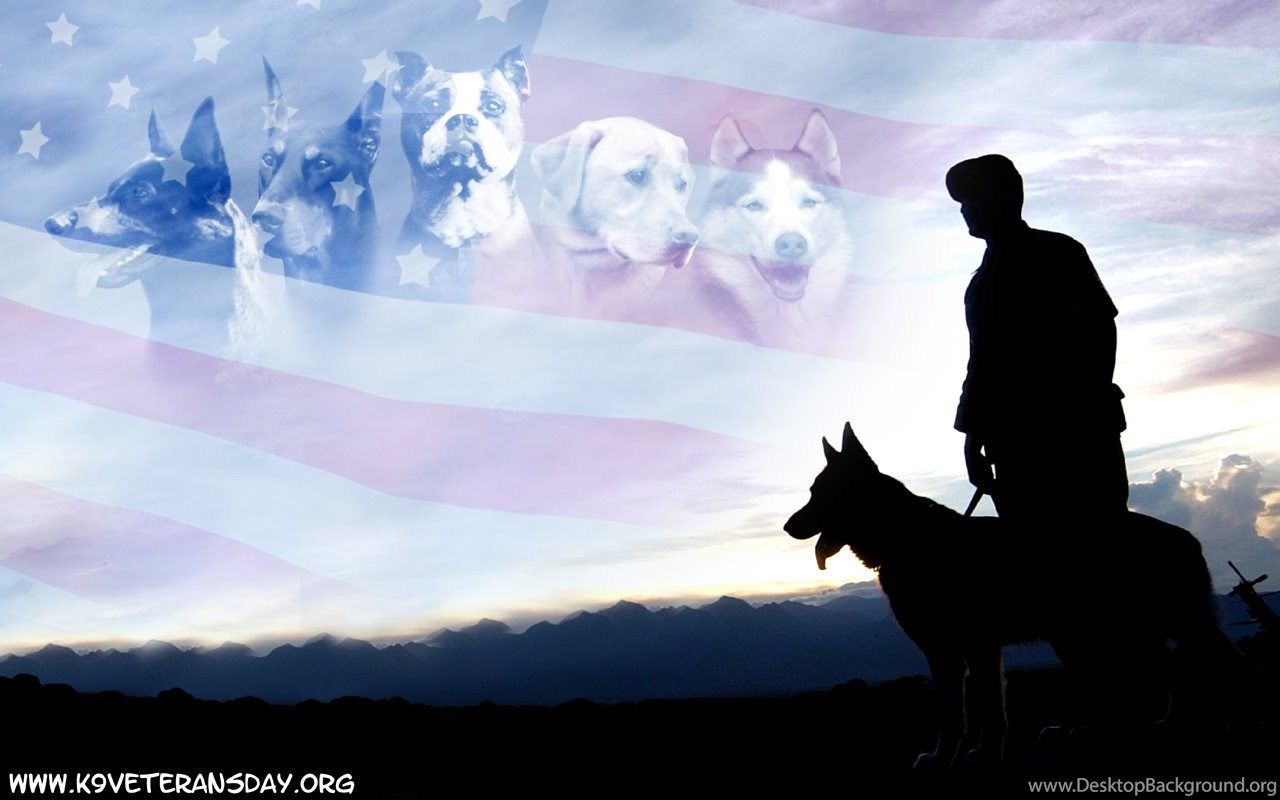 More Like Commission K9 Vets Wallpaper By MauserGirl