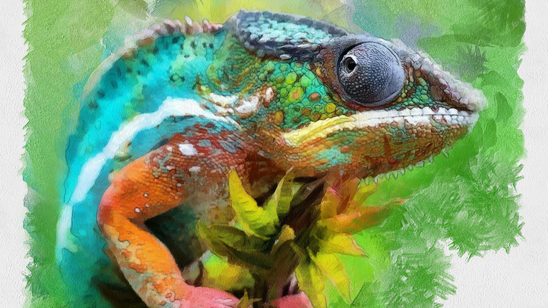 Wallpaper Lizard Chameleon animal Painting Art 1920x1080