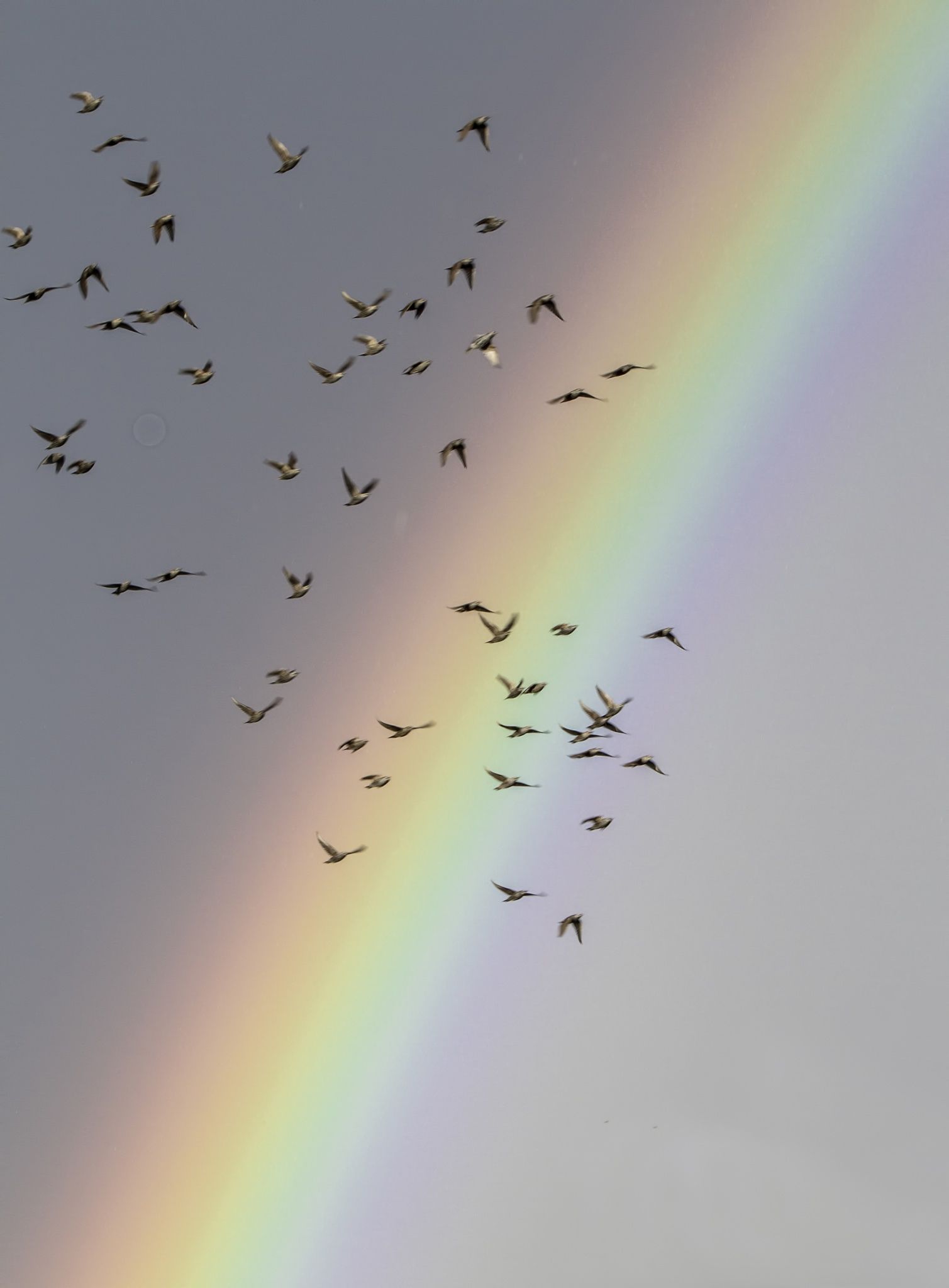 Rainbow. Rainbow photography nature, Rainbow photography, Rainbow