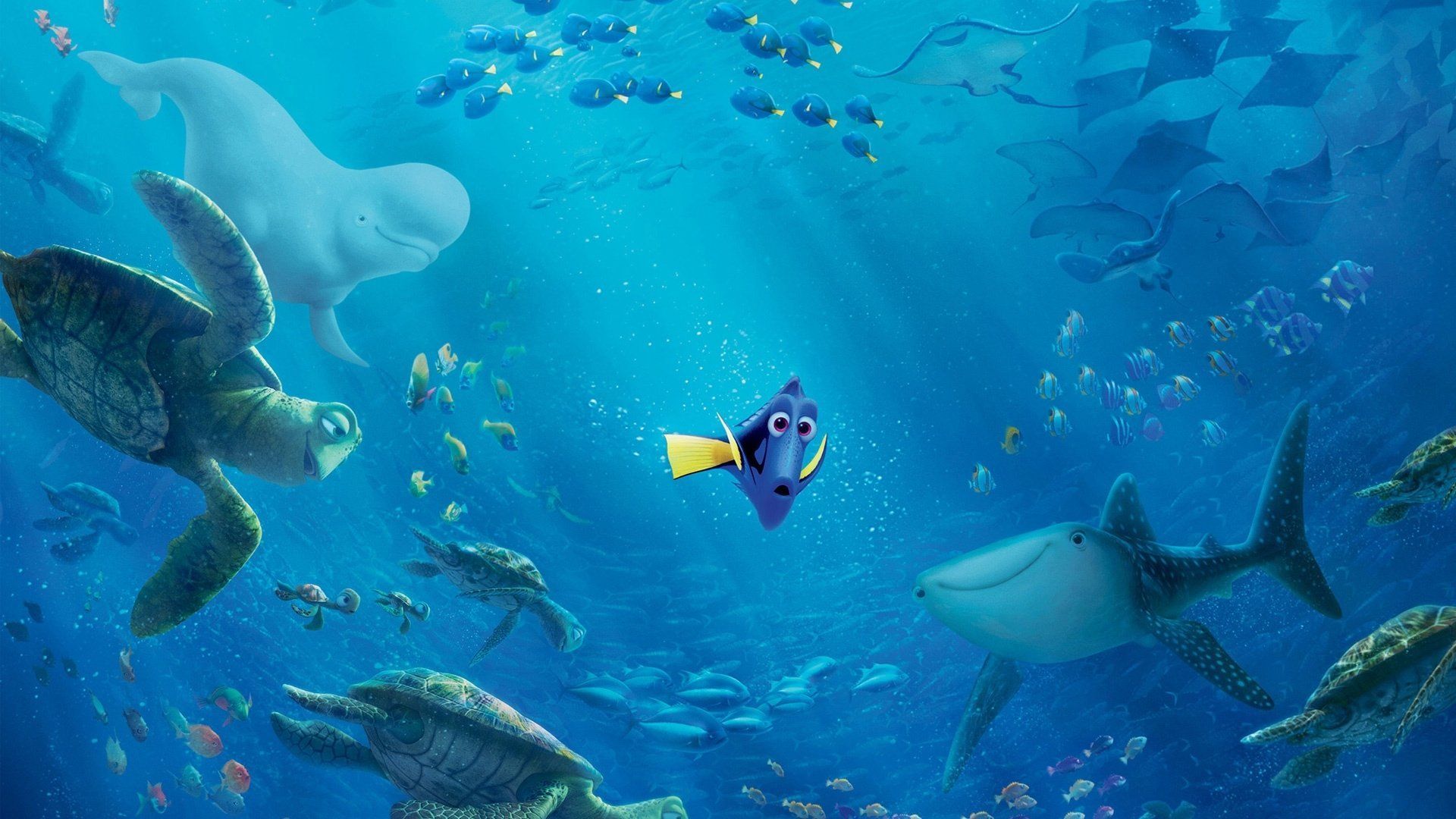 Finding Dory HD Wallpaper Background Wallpaper. Finding nemo, Disney finding nemo, Finding dory