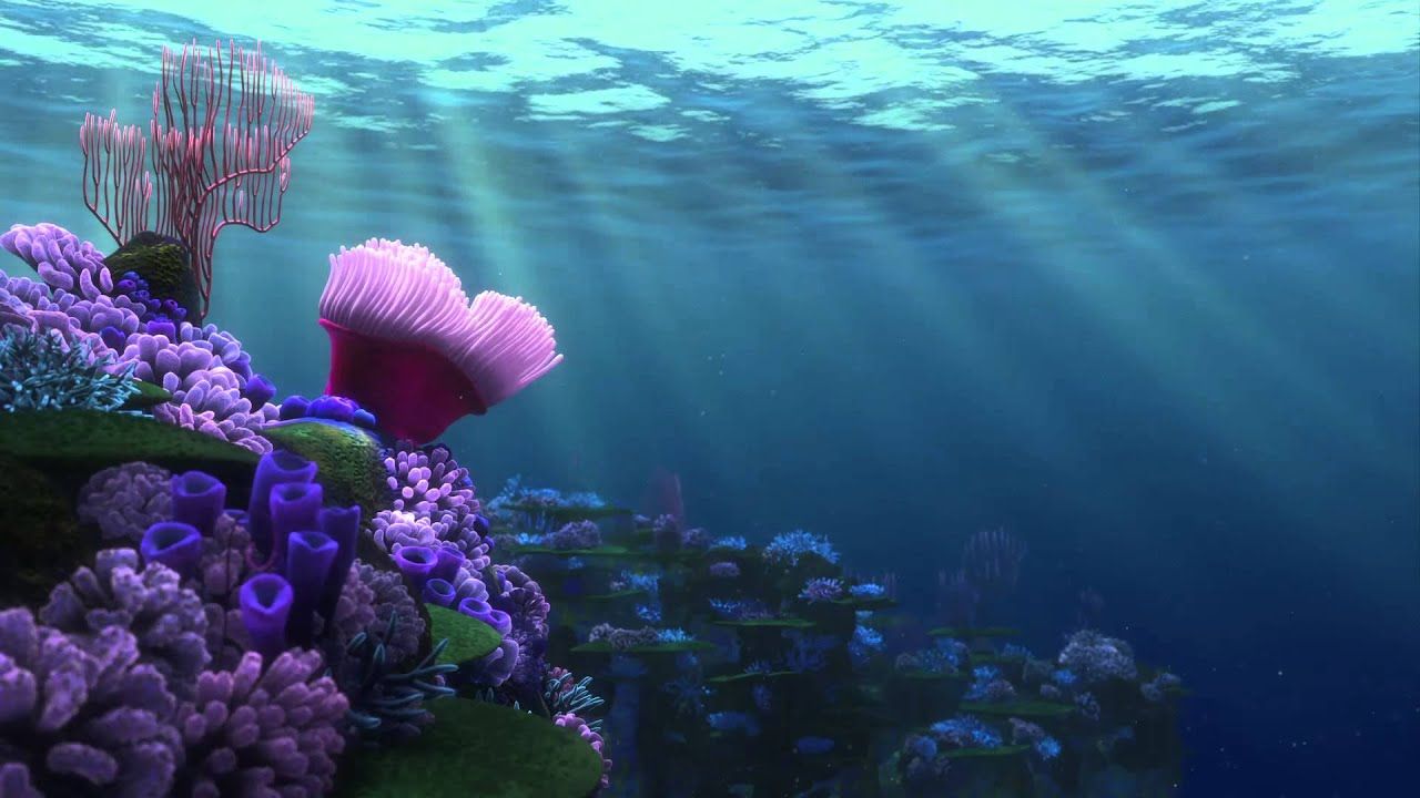 FINDING NEMO (Coral Reef 1)