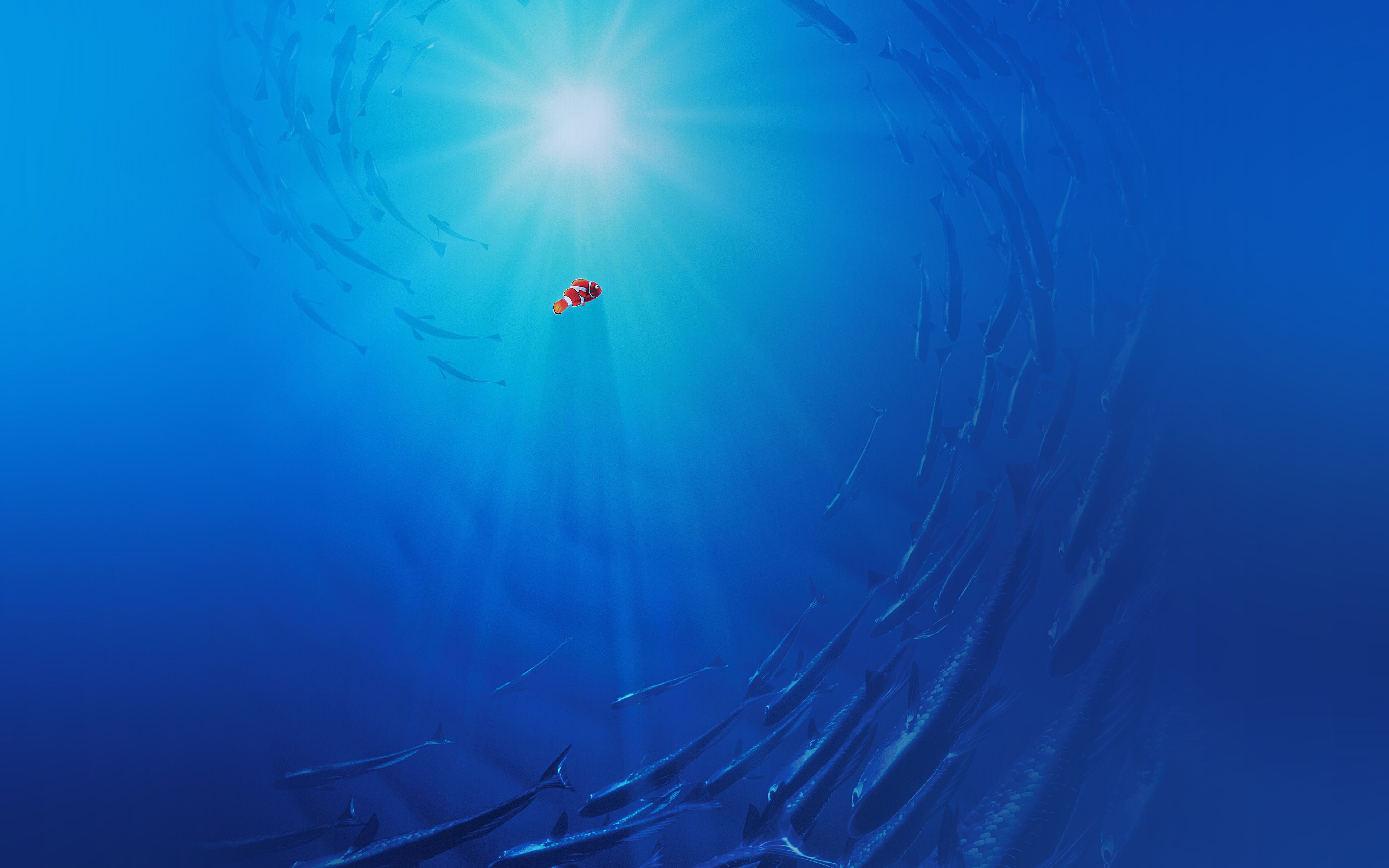 Finding Dory Disney Nemo Cute Wallpaper