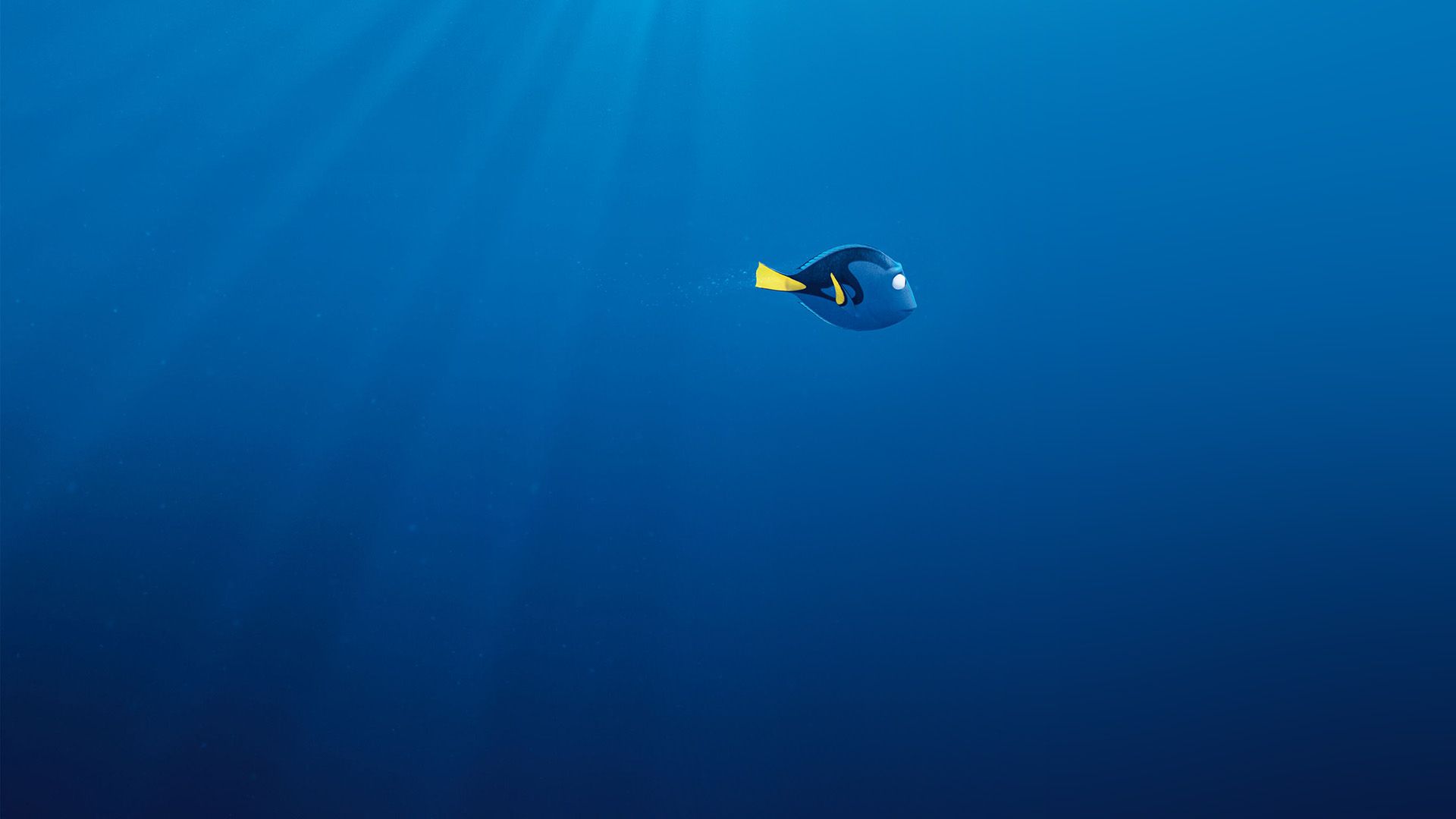 HD finding dory wallpapers  Peakpx