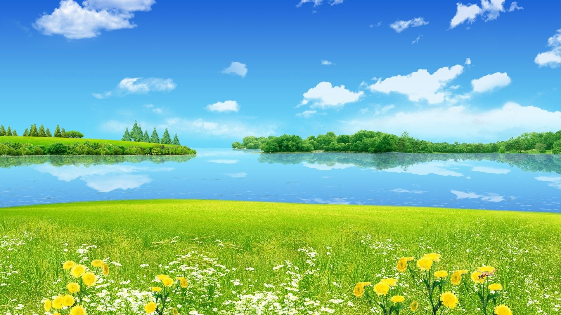 Summer Meadow Lake & Sky desktop PC and Mac wallpaper